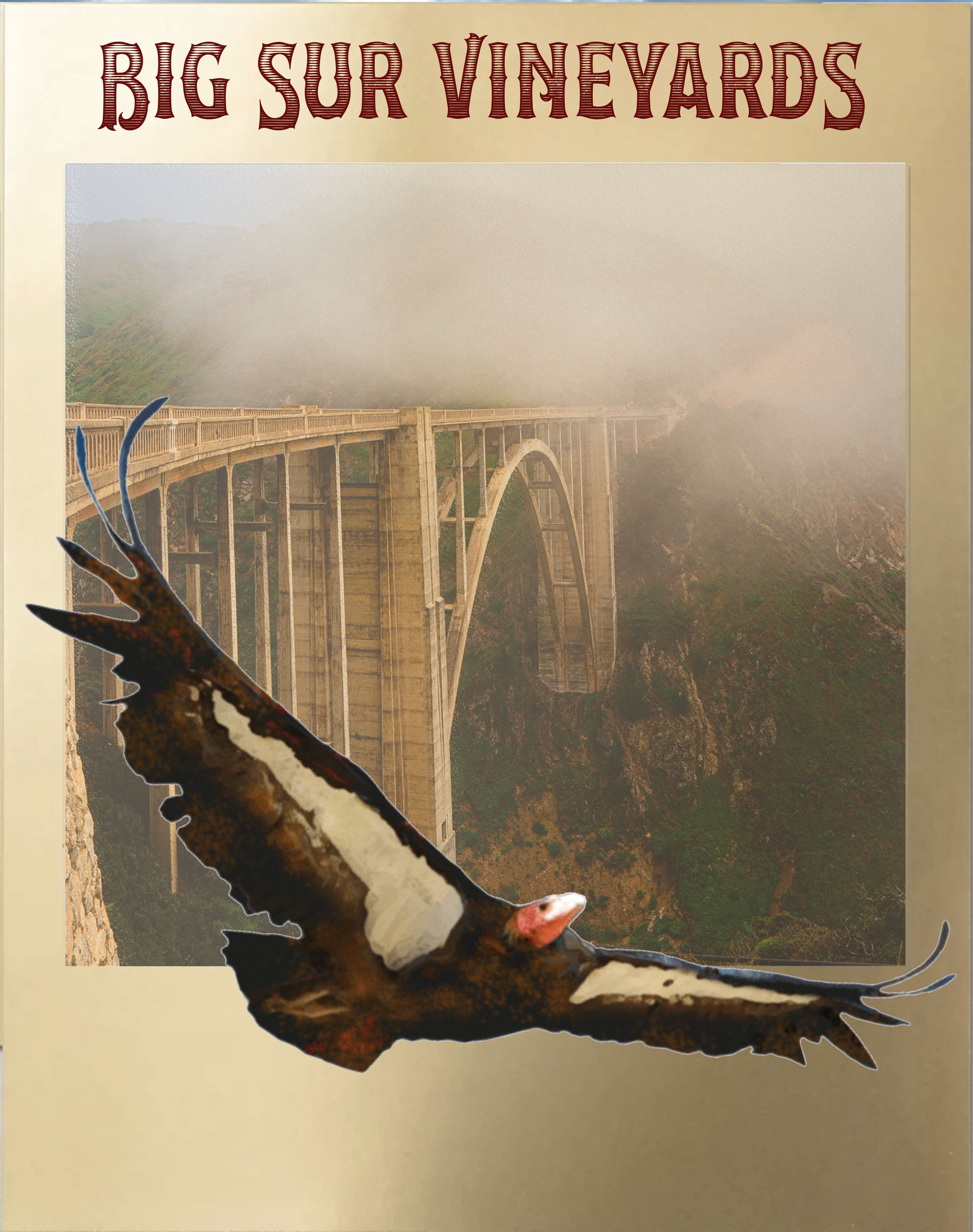 Bixby Condor v2.png