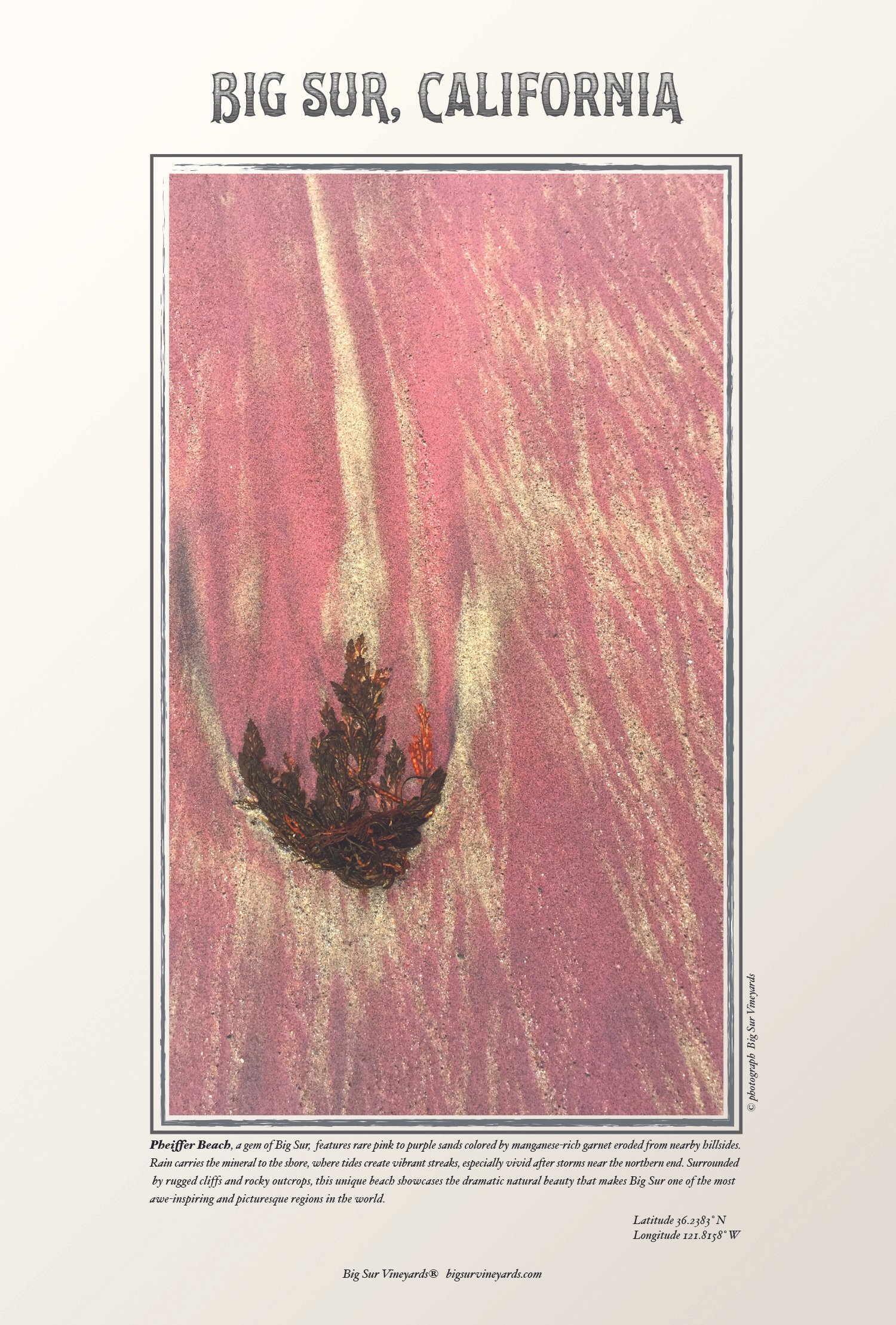 Pink Sand FINAL 12-19-24 12-22-24.jpg