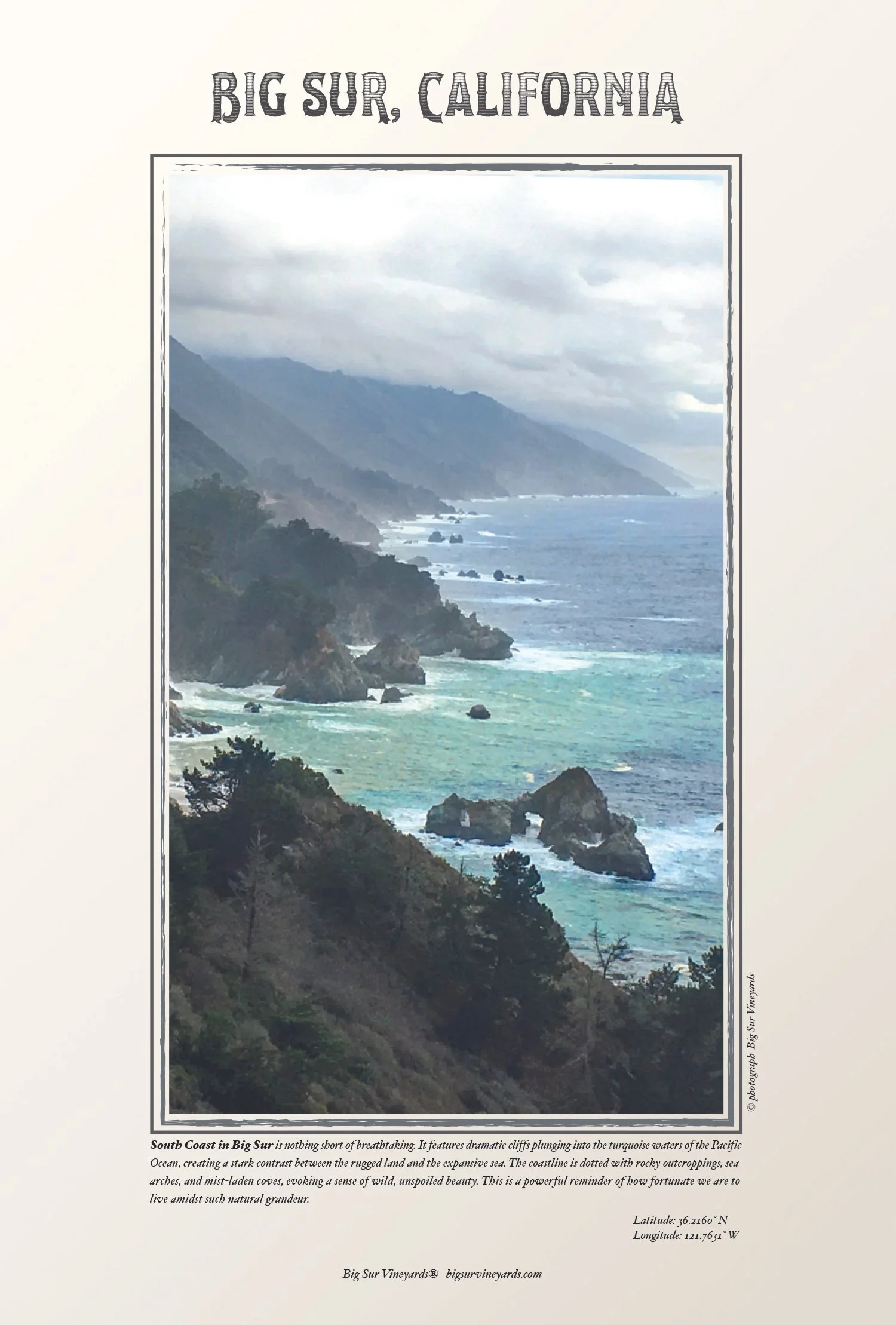 Nepenthe FINAL 12-22-24.jpg