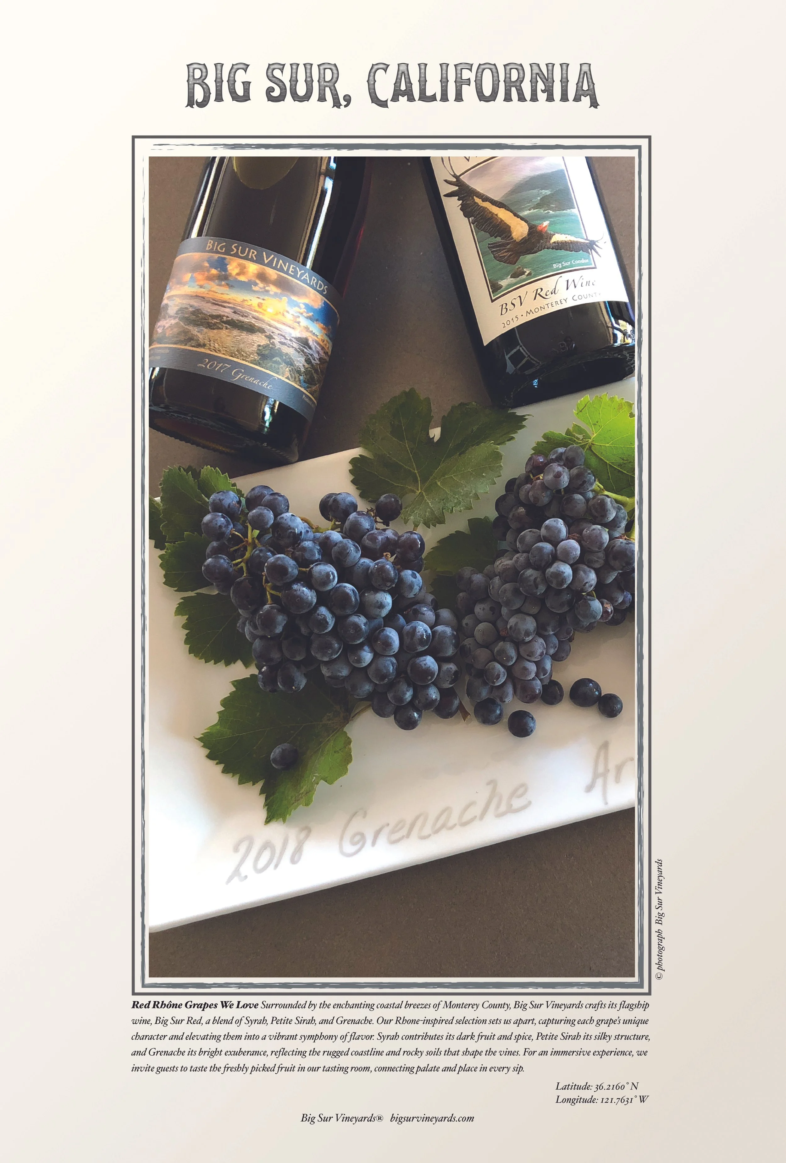 Red Rhone  1 13 25.jpg