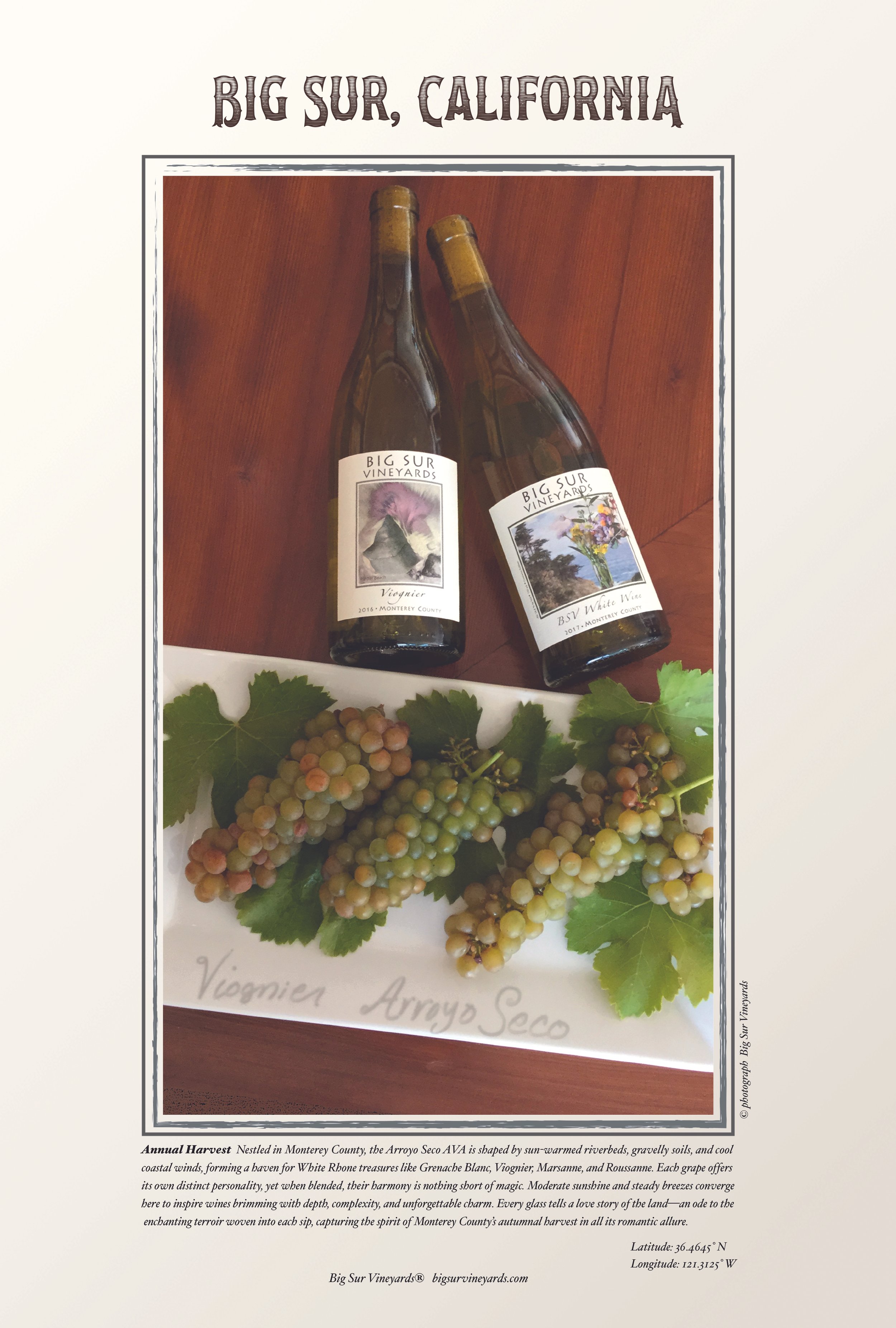 White Grapes 1 13 25.jpg