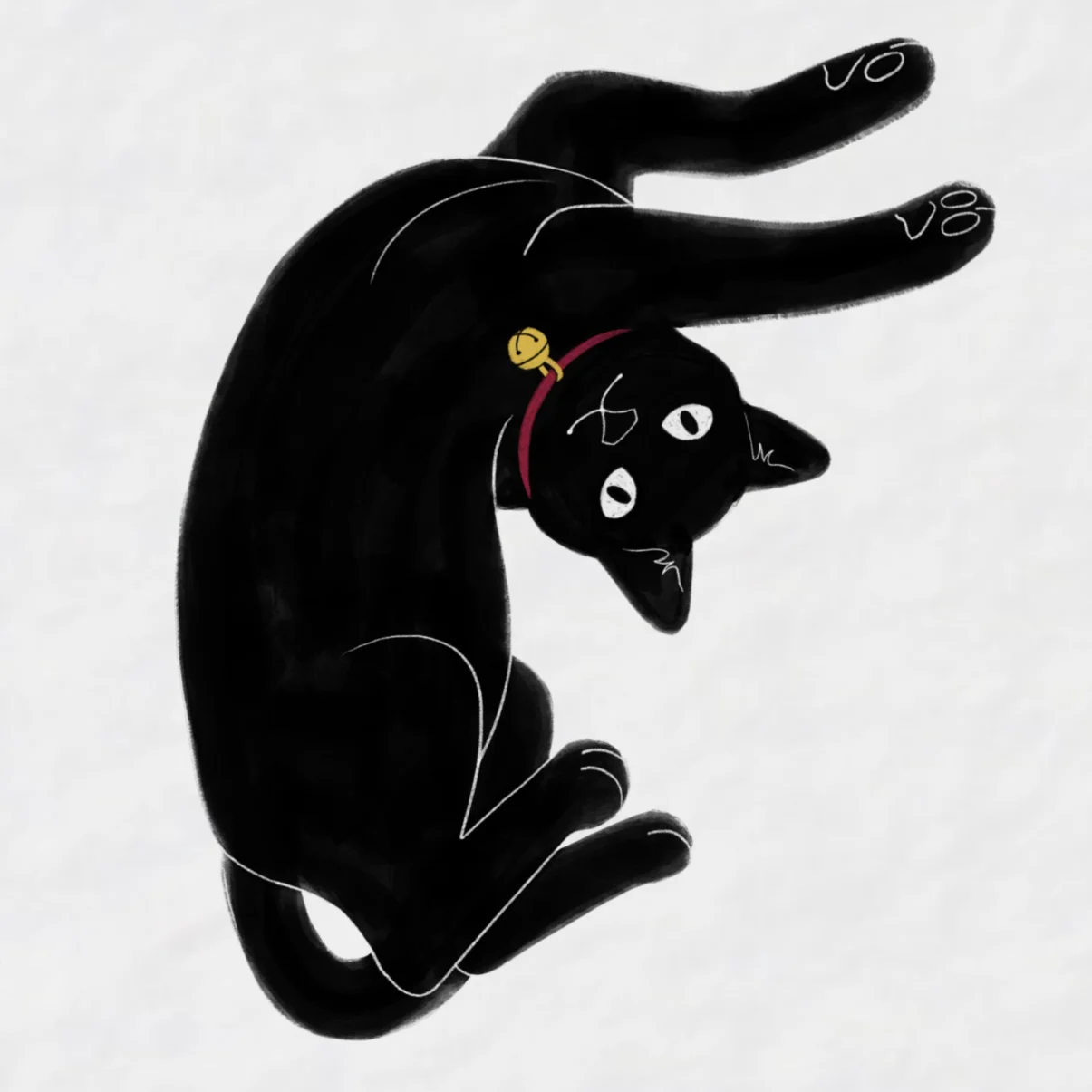 cat_f.jpg