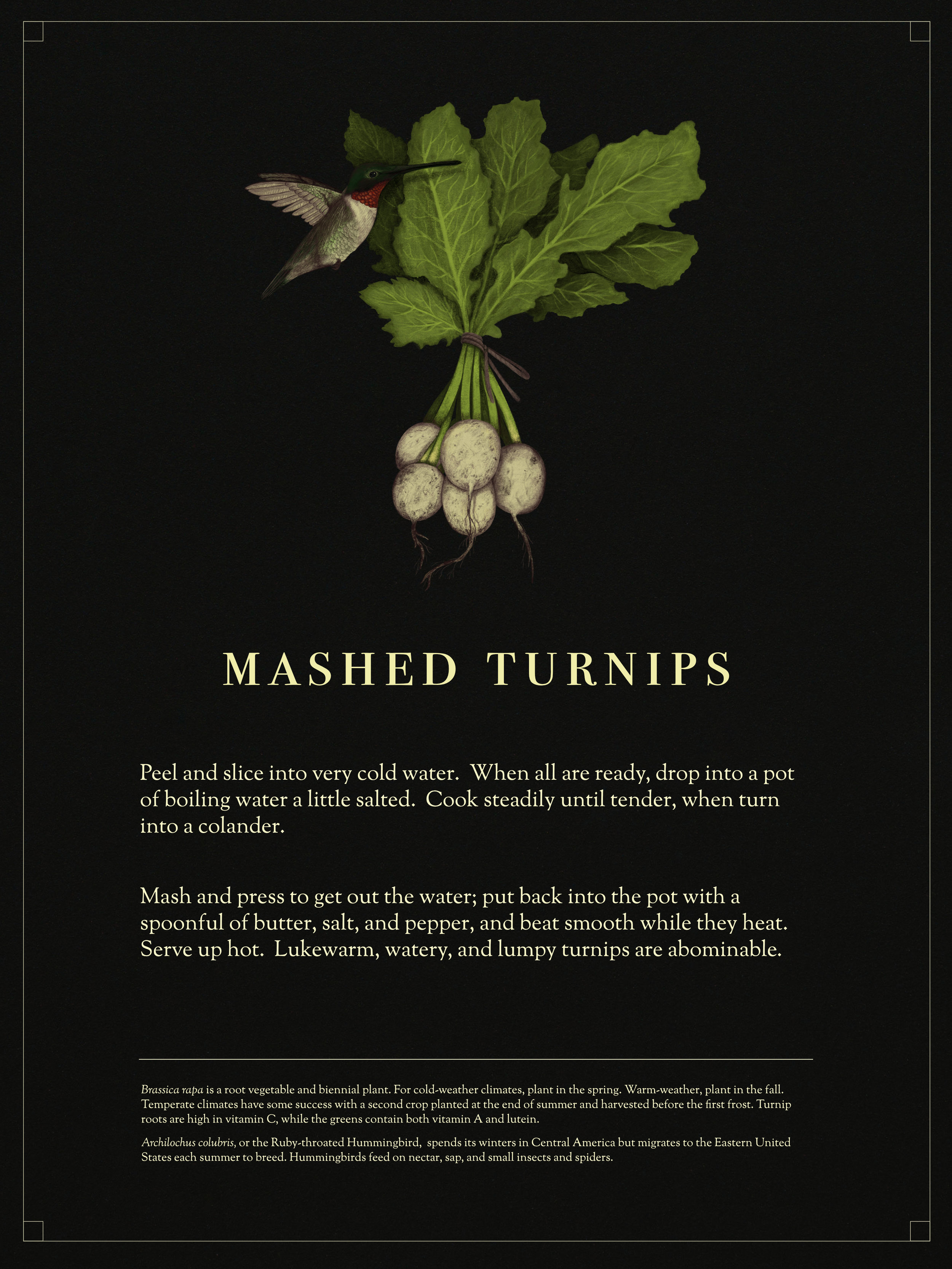 cookbook_turnips.jpg