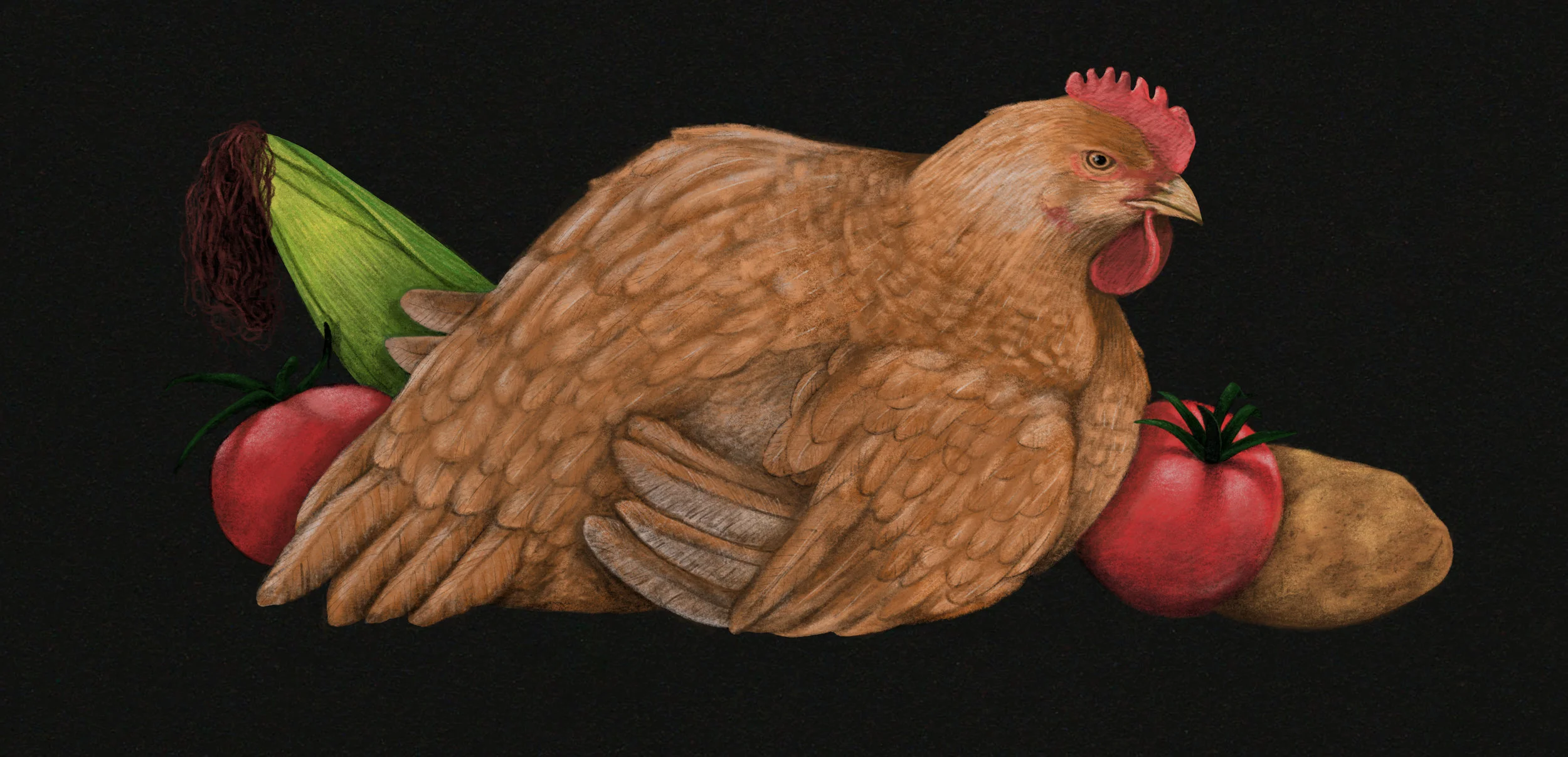 cookbook_chicken_spot.jpg