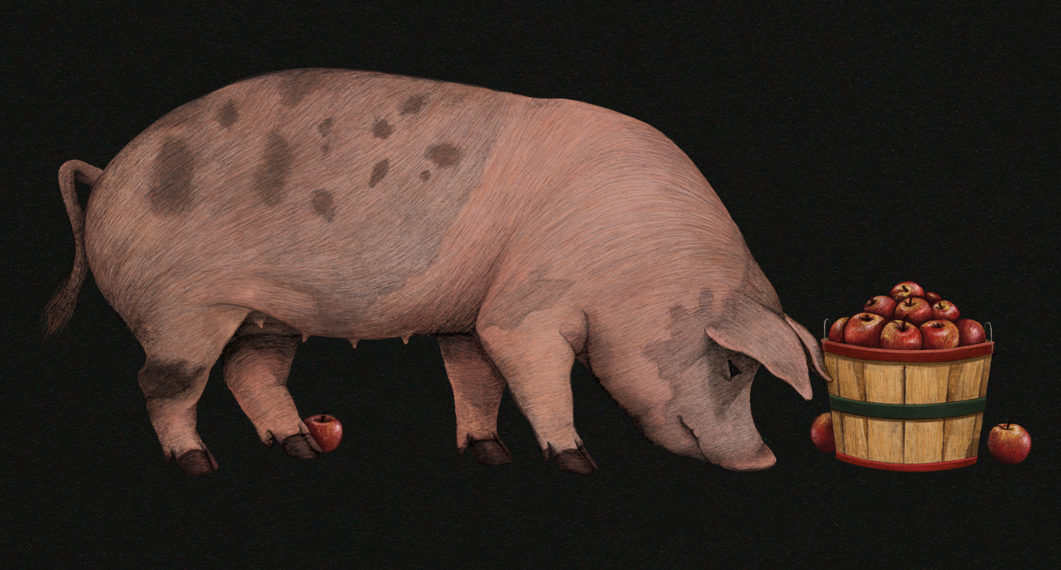 proof_cookbook_pork_spot.png