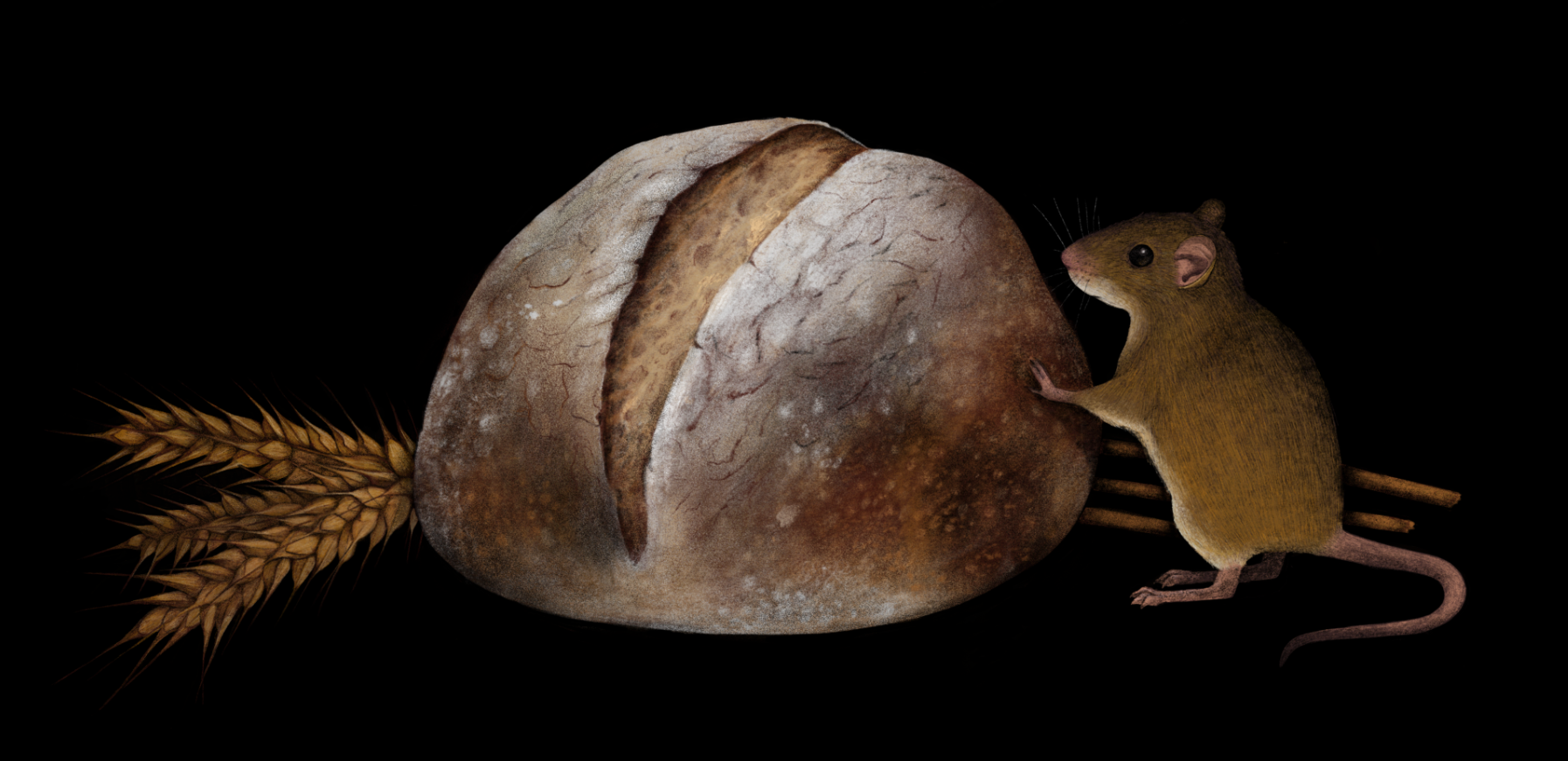 rarebit_spot.png