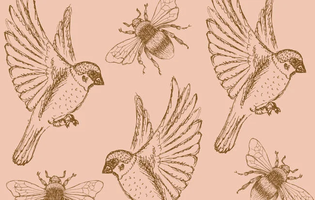 Sex Education is Education