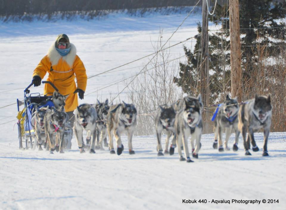 kobuk 440.jpg