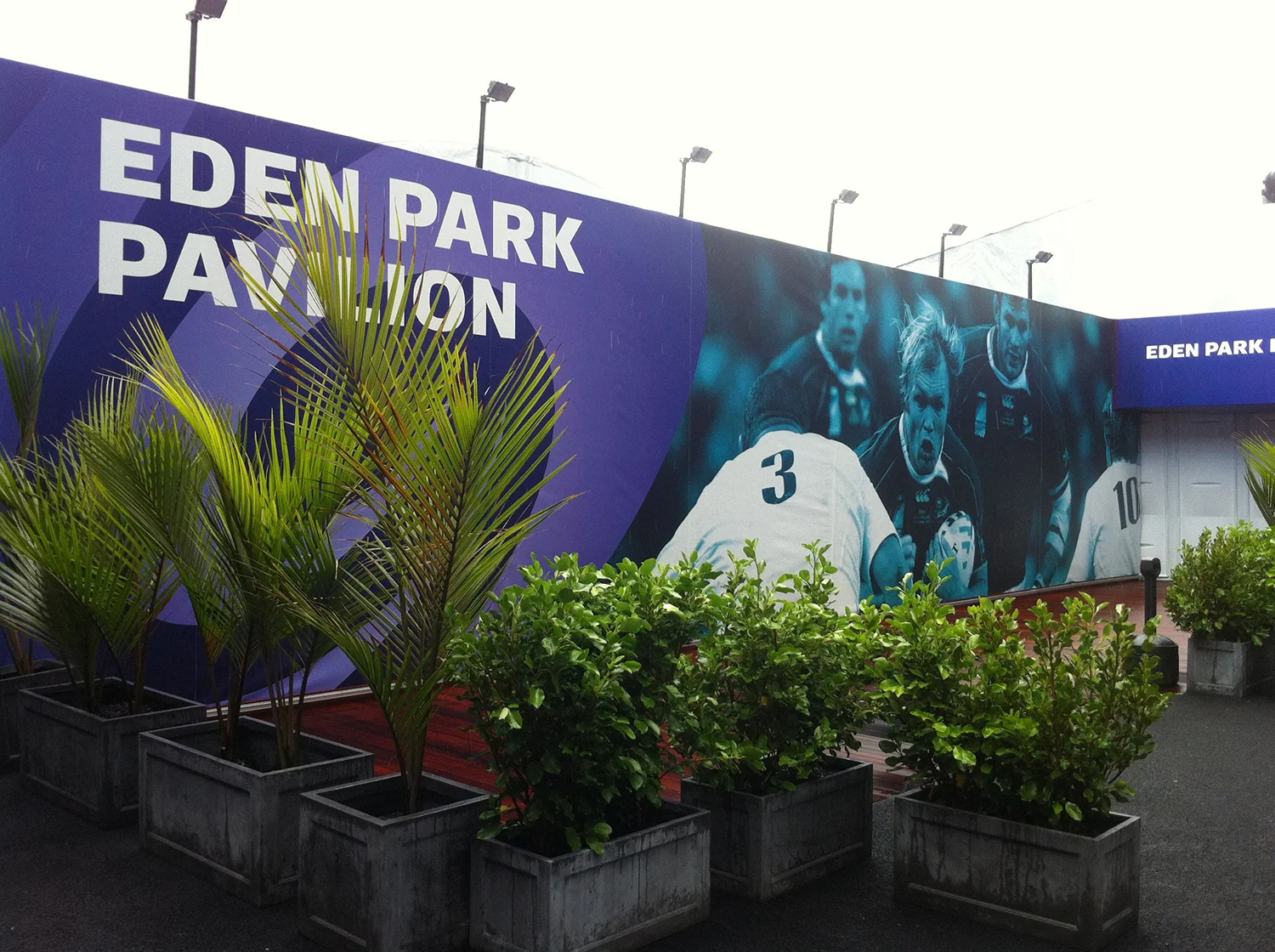 RWC 2011, Eden Park