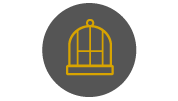 Birdcages.png