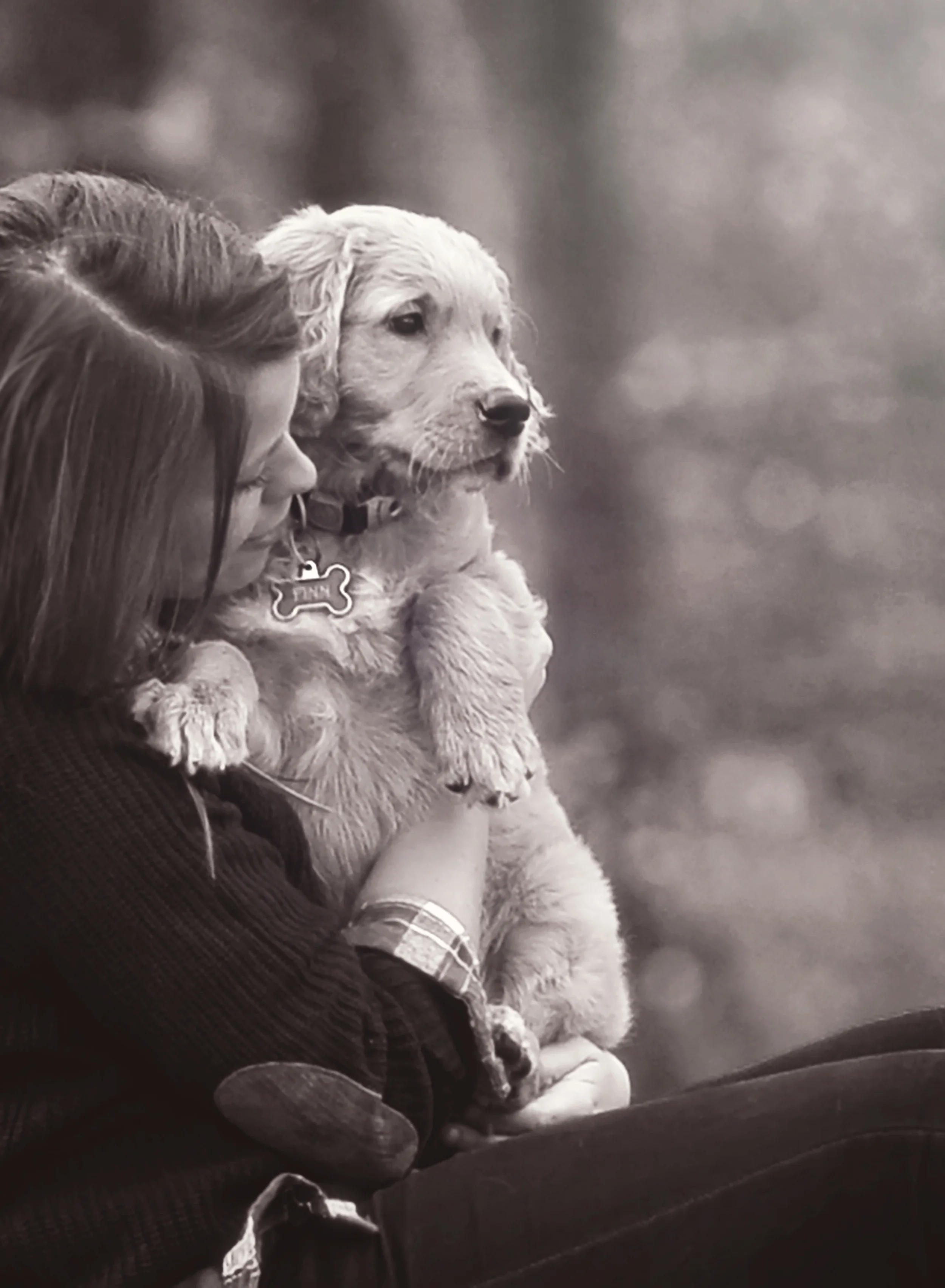 Suzy Hanzlik Photography Suzy Hanzlik Photography fine art portrait photographer Douglasville, GA