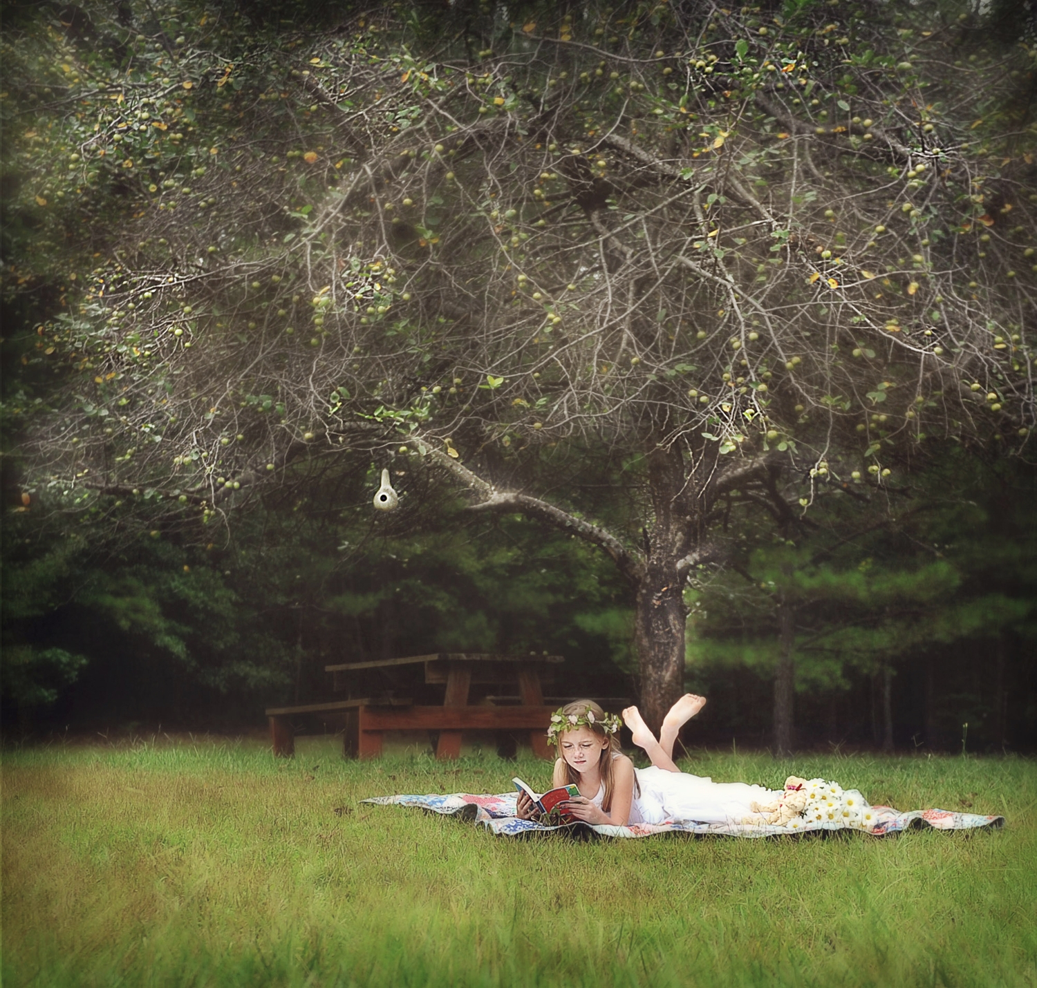 Suzy Hanzlik Photography Suzy Hanzlik Photography fine art portrait photographer Douglasville, GA