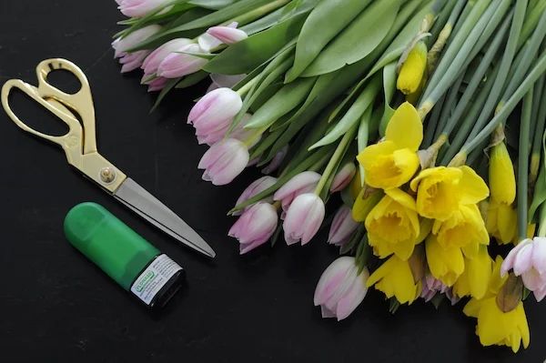 Flonase & Spring Allergies