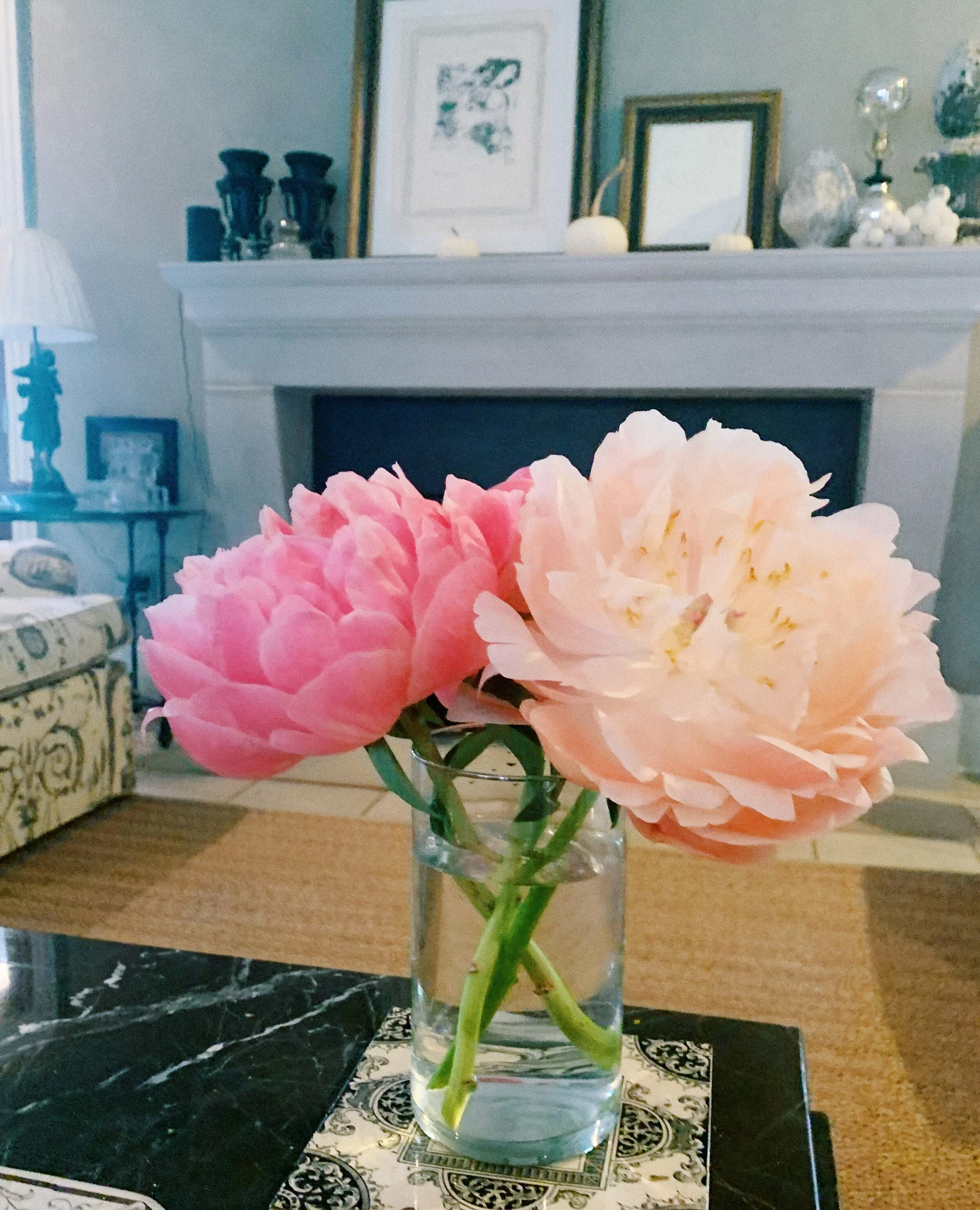 My grandpa’s BFF / my new BFF had the most gorgeous peonies at her house this past week. I thought they were out of season, but somehow she had them. They’re real! How crazy!