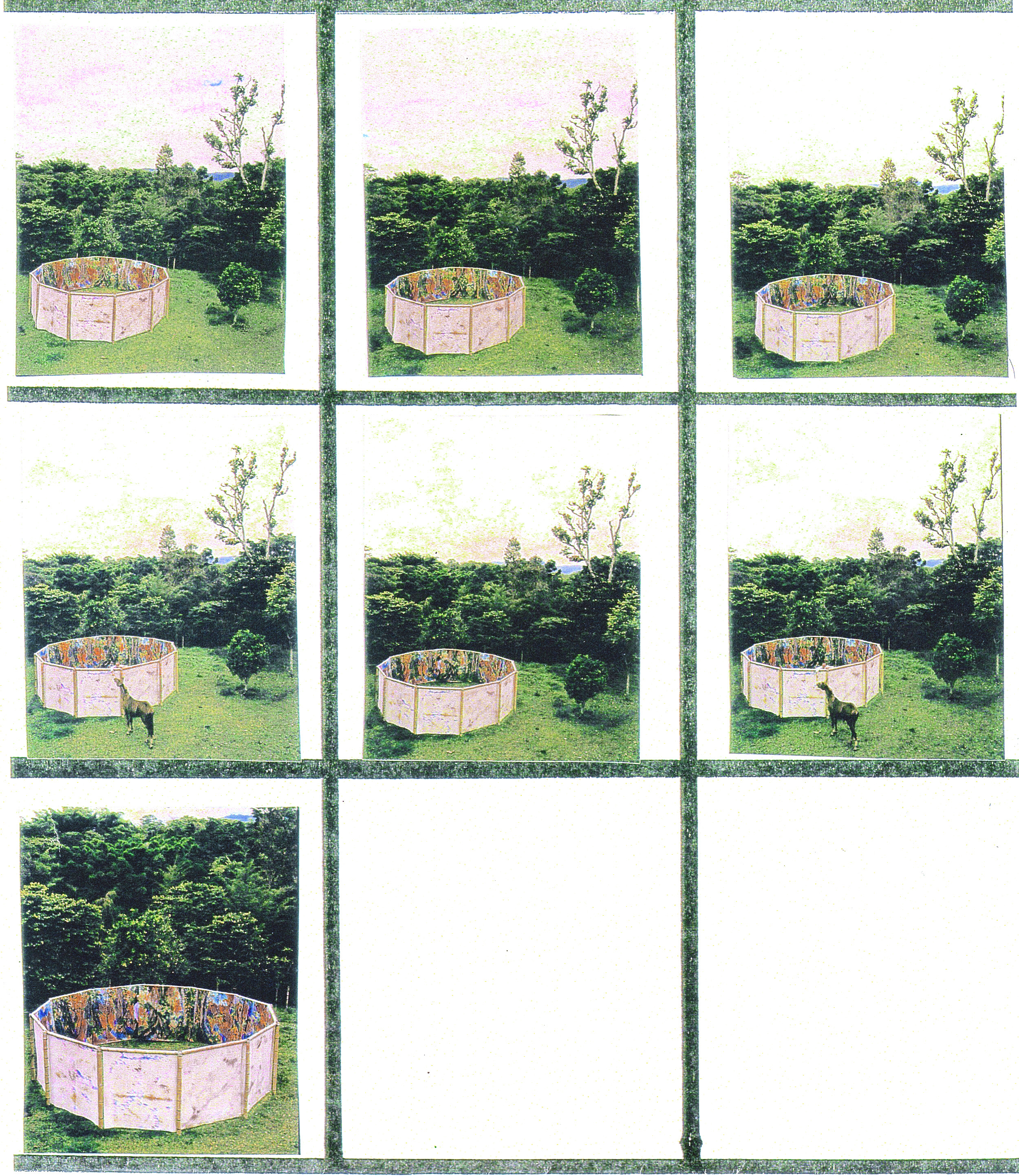 "Forest of Statues" 1997