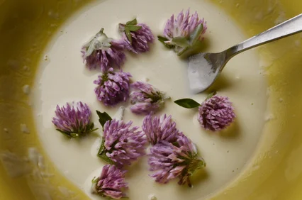 clover cereal.jpg