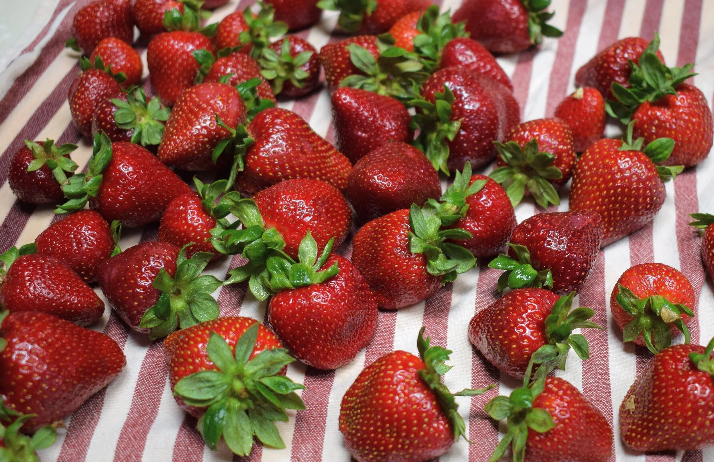 strawbs+stripped+towel+cropped.jpg