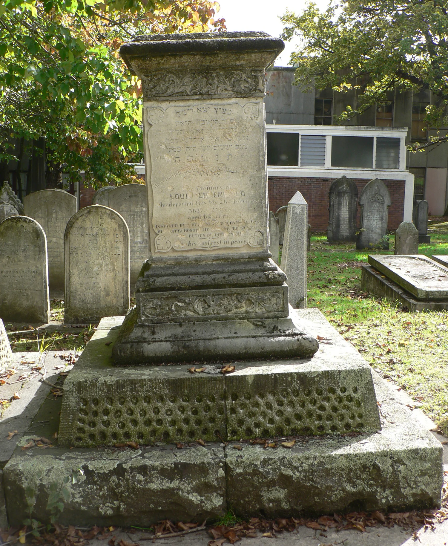 Louis Ehrenfried east side view / before treatment