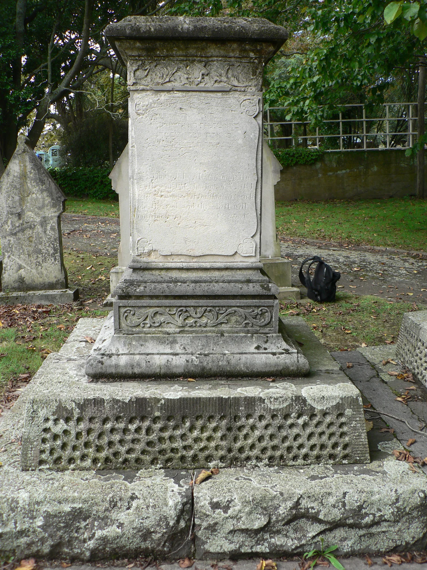 Louis. West side view / Before treatment