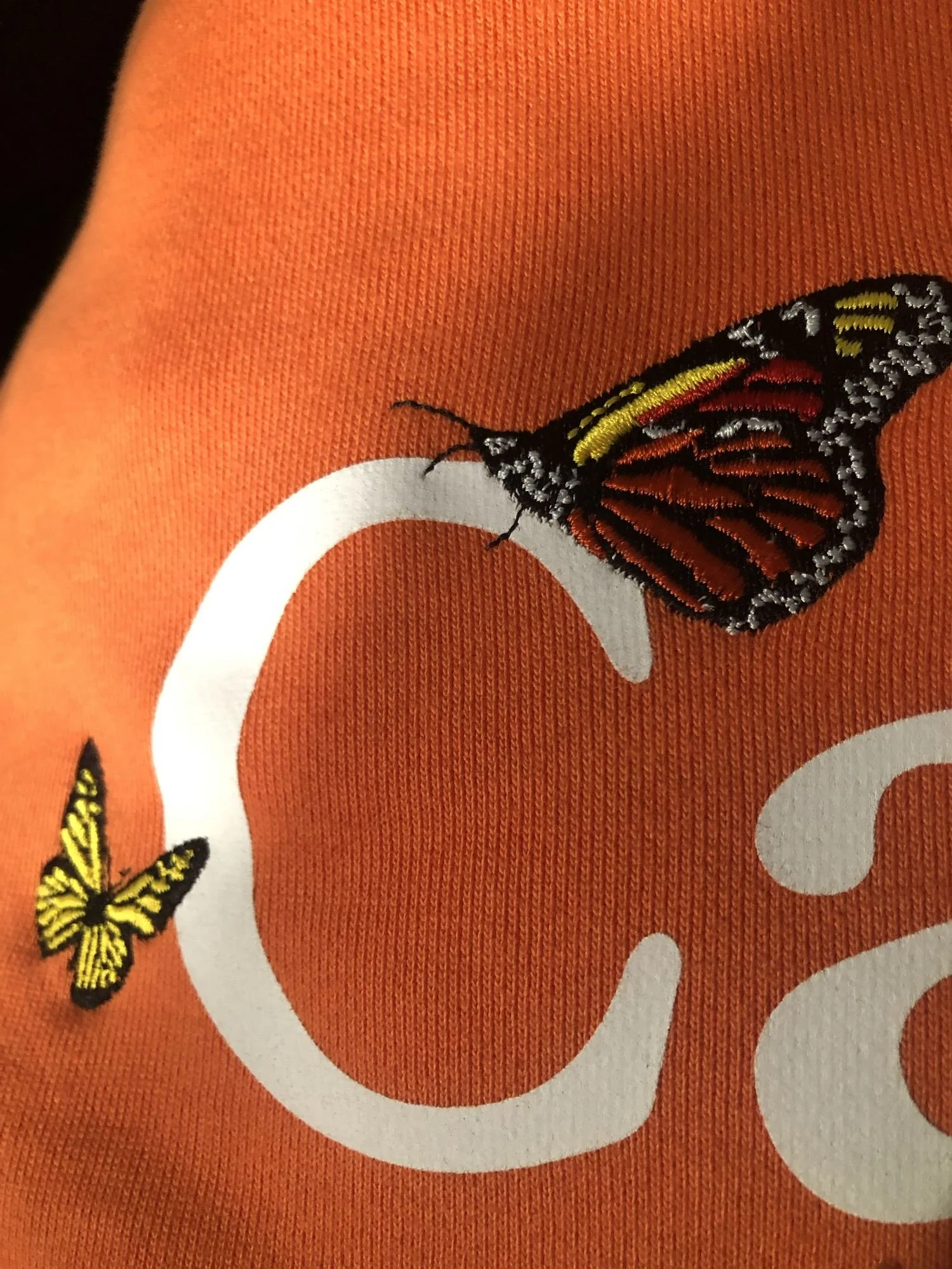 Embroidery  Done Over Screen Print