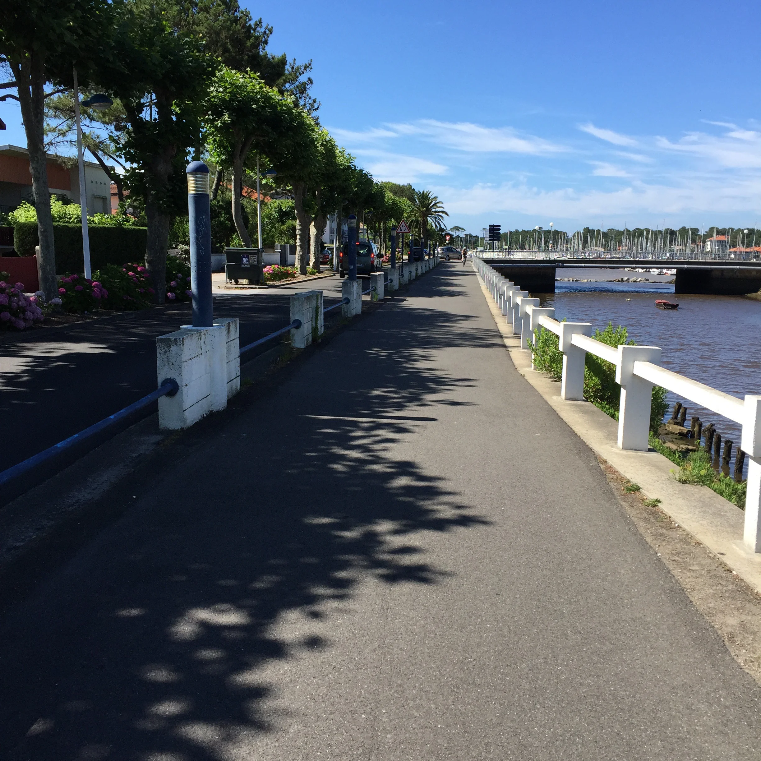 Lazing biking day with views like this.