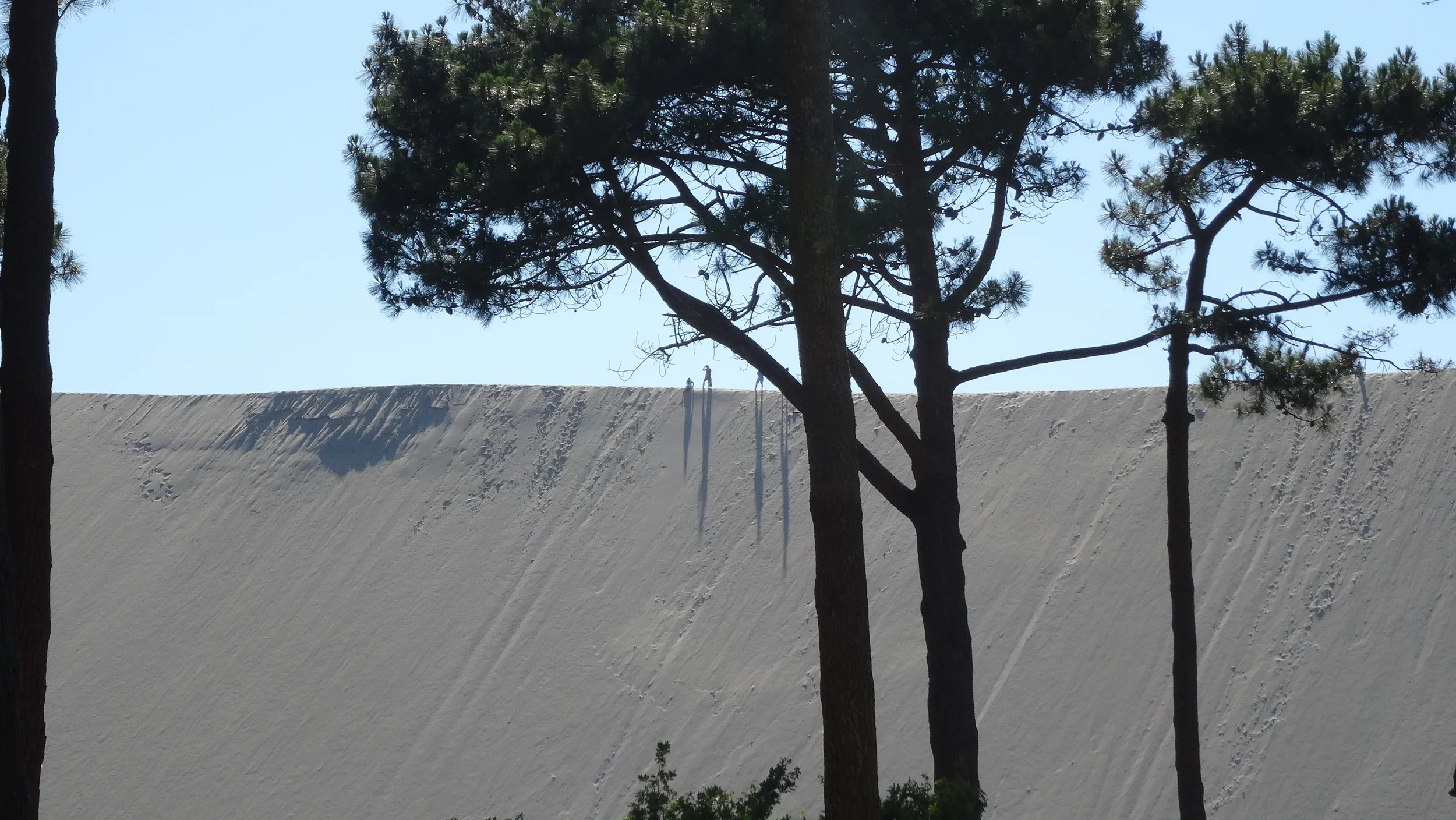 Sand dunes around La Teste. 