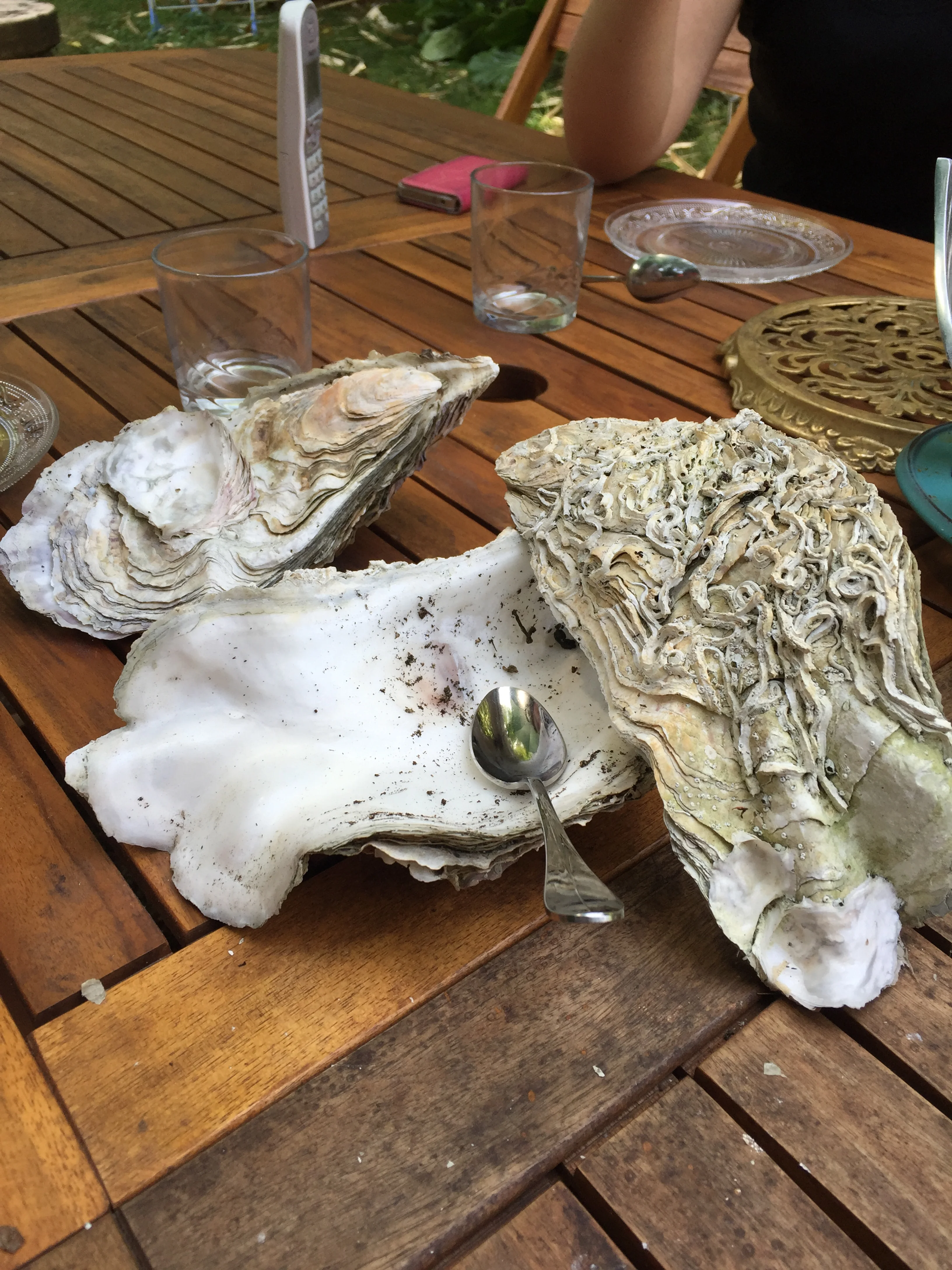 Oysters from the Talvande's holiday home on the west cost of France (Brittany).