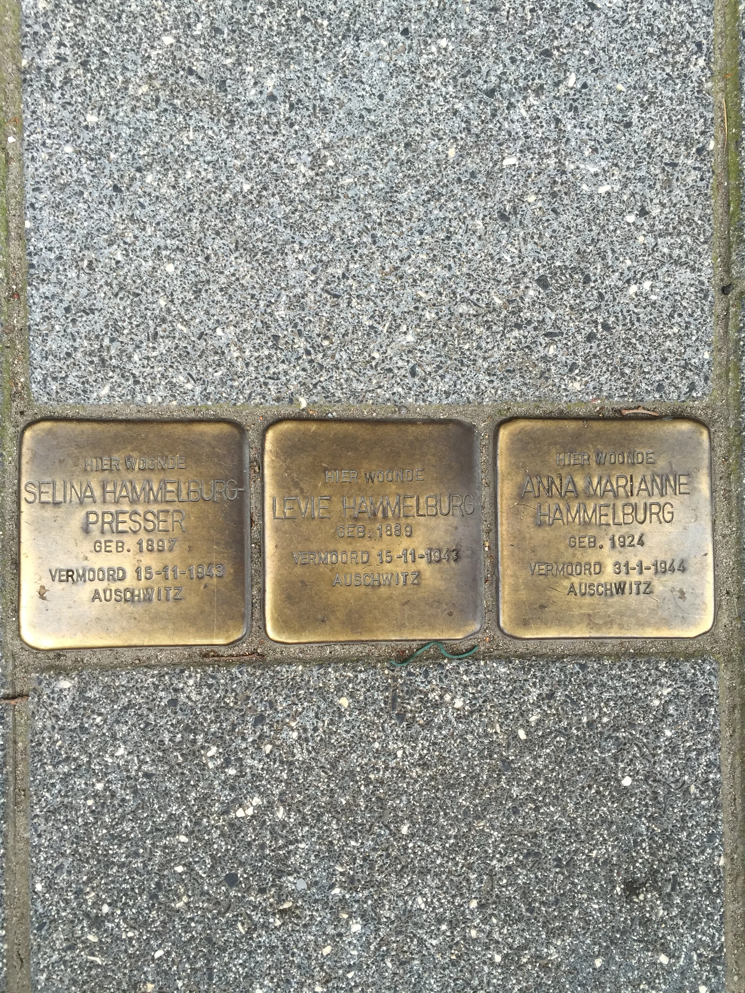 I didn't know it at the time I took the pic, but I found out today while listening to a Rick Steves podcast, that these are called Stolperstein "stumbling blocks" in German. They're monuments created by artist Gunter Demnig to commemorate a victim of the Holocaust. They exist throughout Europe but mainly in Germany. 