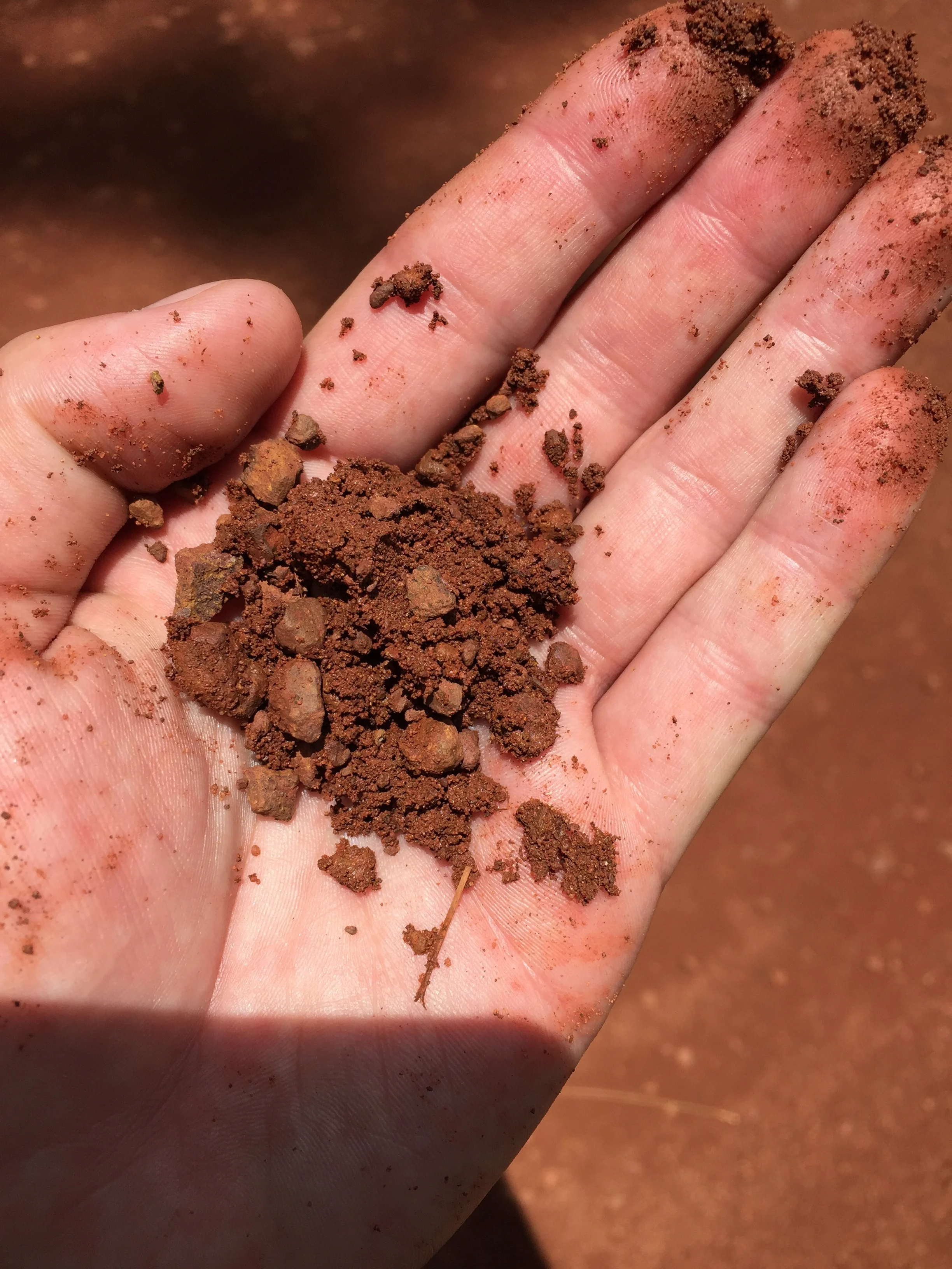 The red soil of Bukoba. It reminded me of driving to Myrtle beach as a kid. The soil changes from brown to red once you hit the Carolinas.