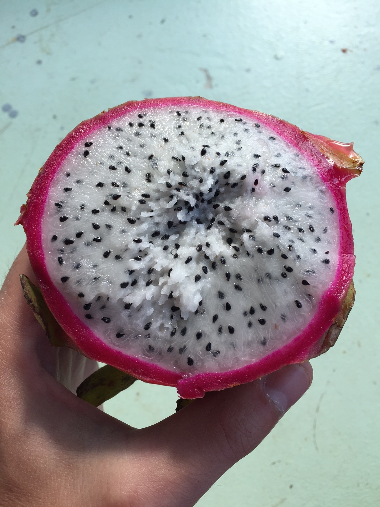 Dragon Fruit