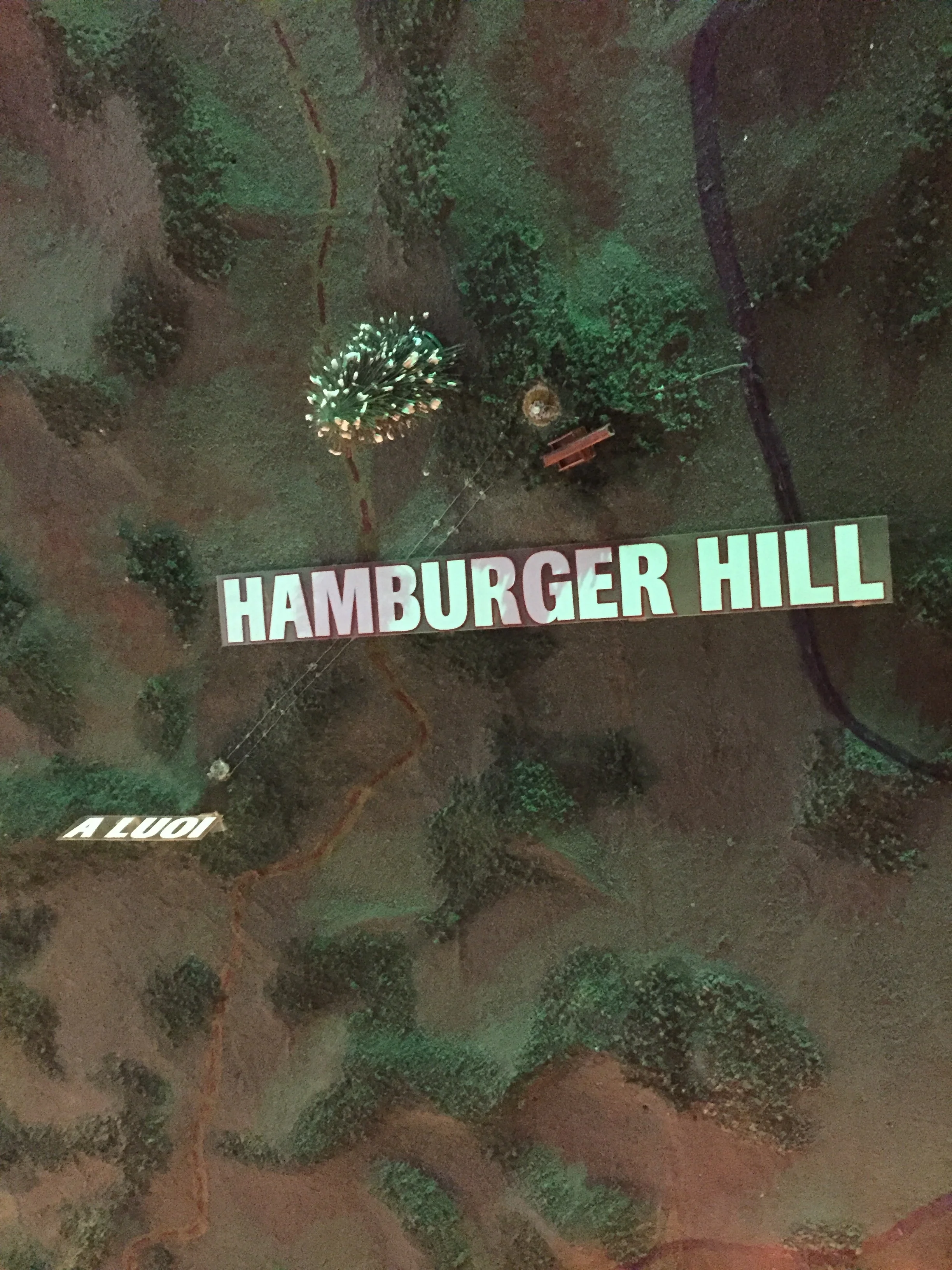 Hué was one of the major battle grounds of the Tet Offensive. It was a series of surprise attacks launched by the North Vietnamese with the cloak of the Tet holiday. Pictured above is small portion of a ceiling mural from a bar in Hué.. 