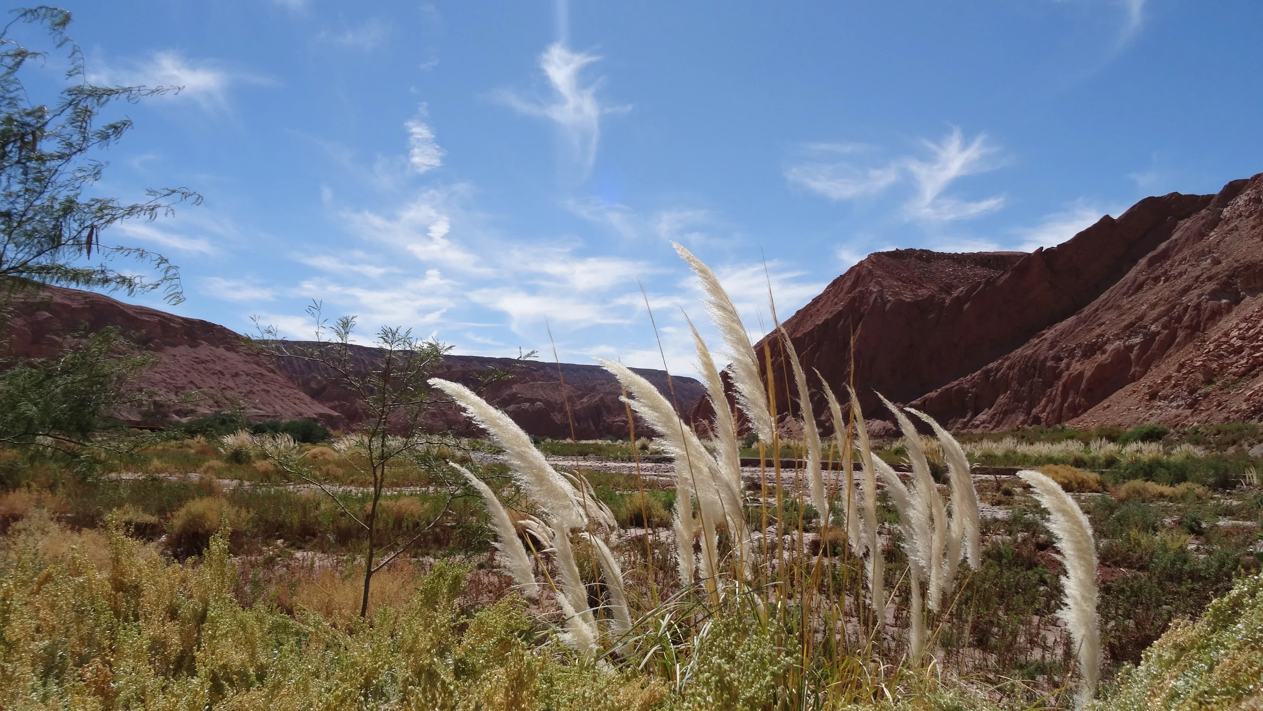 Pukará de Quitor Trail