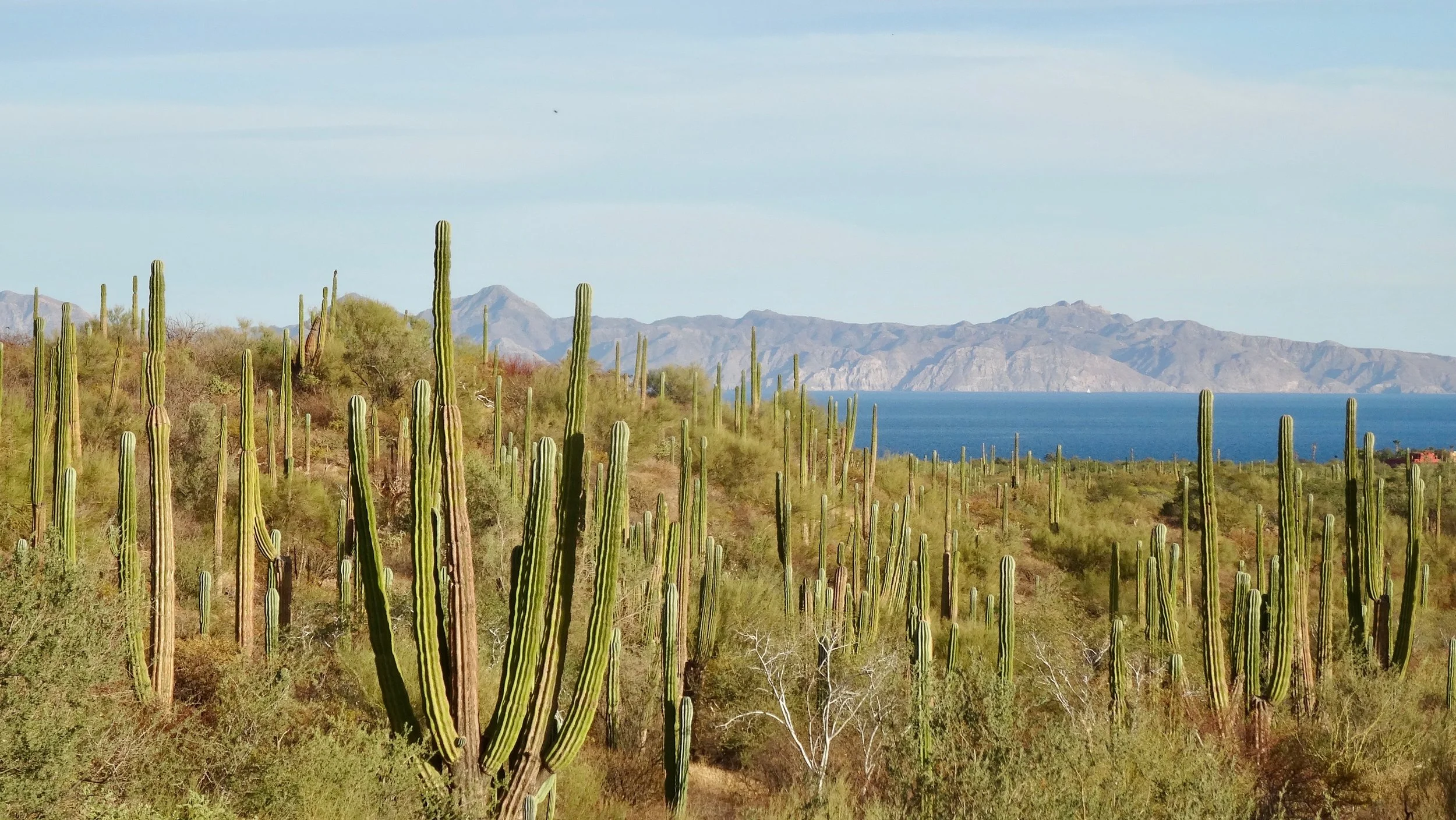 Baja California coastline and desert mountains
