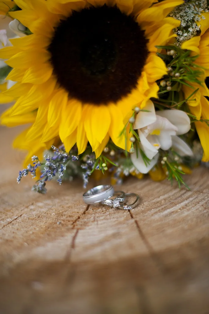 1432_JandS_wedding.jpg