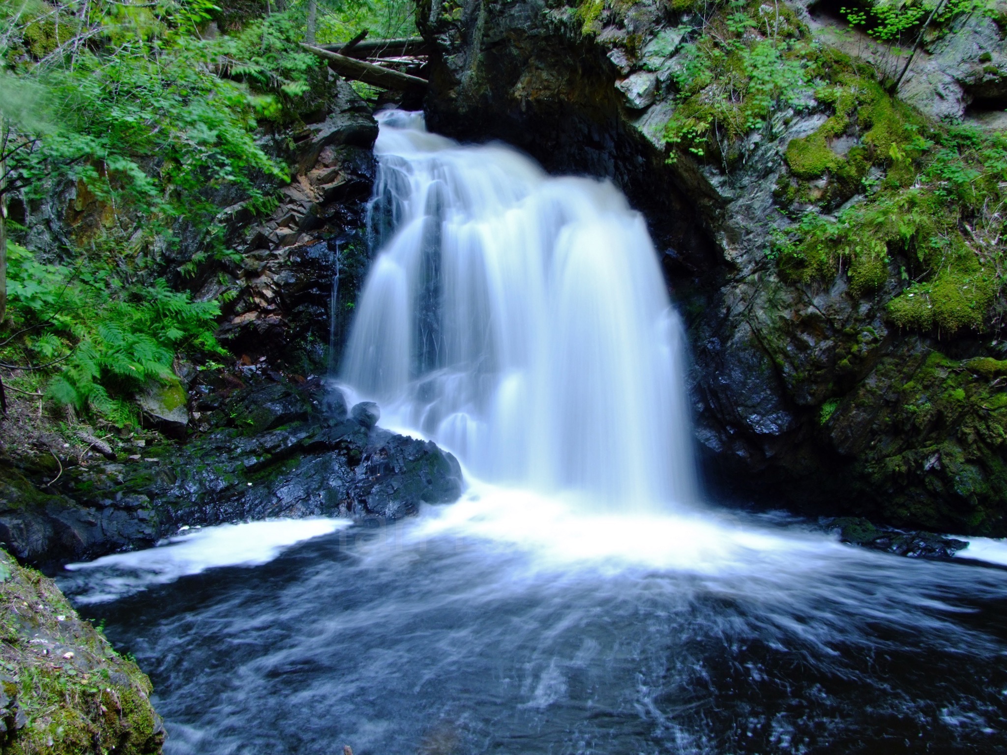 DSCF5542.JPG