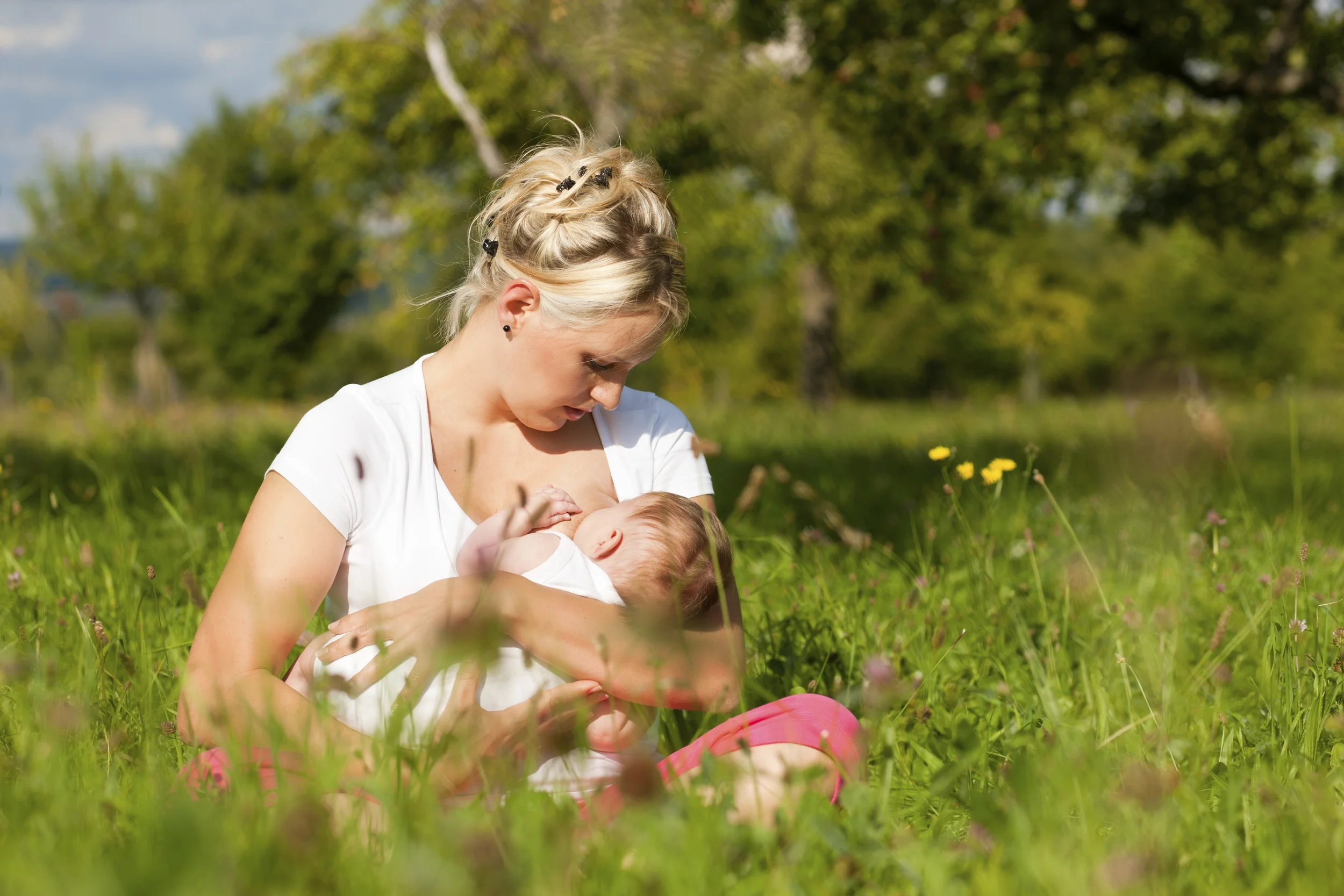 iStock_000014241729_Double.jpg