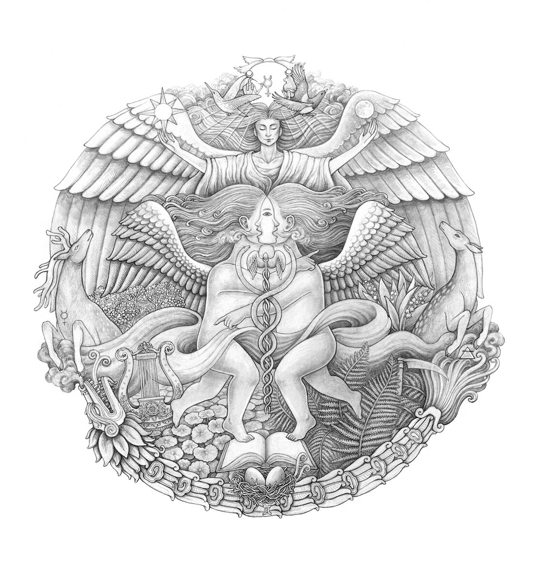 3_Caners_GeminiGraphite.jpg
