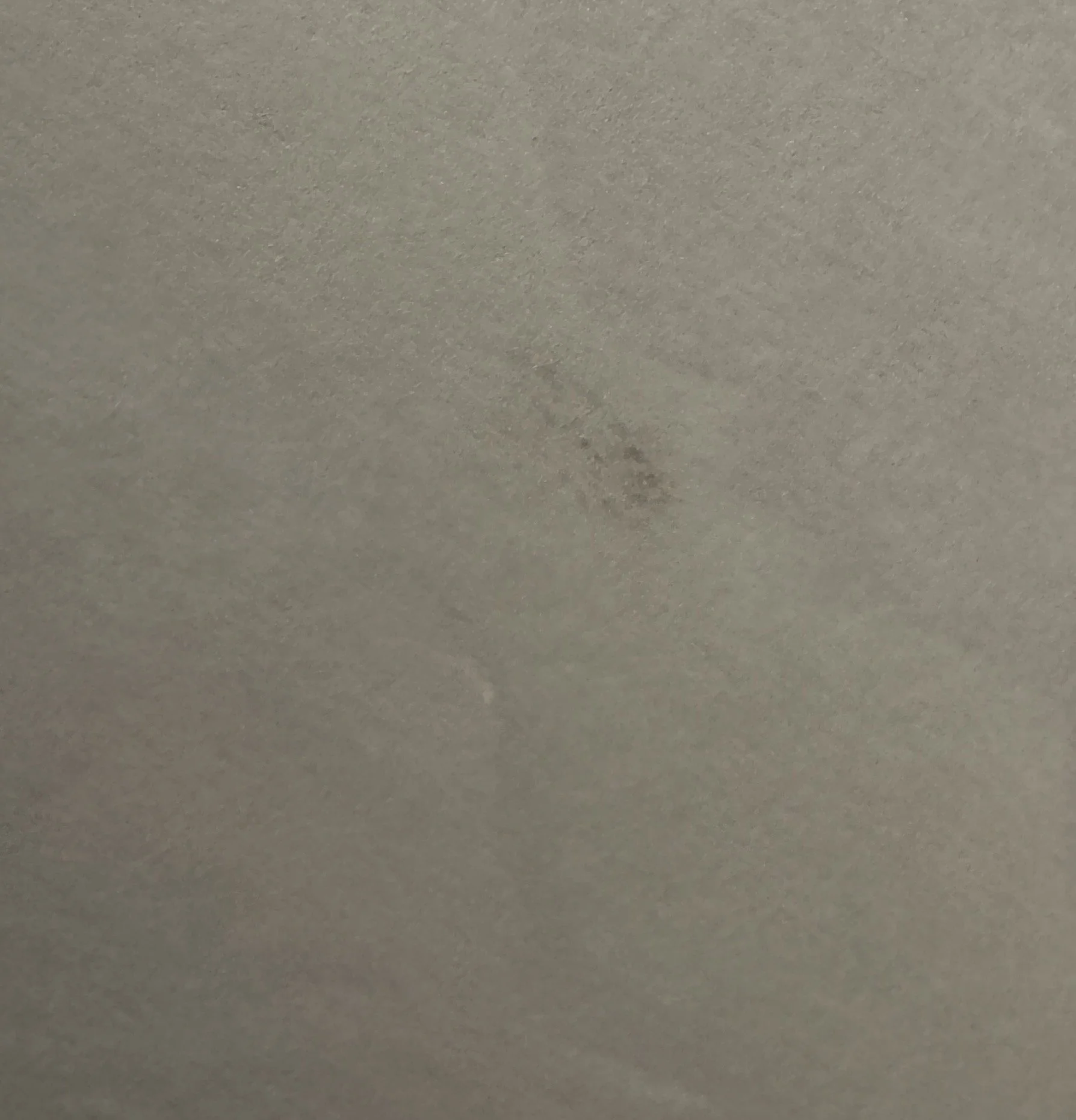 IMG_1019.jpeg