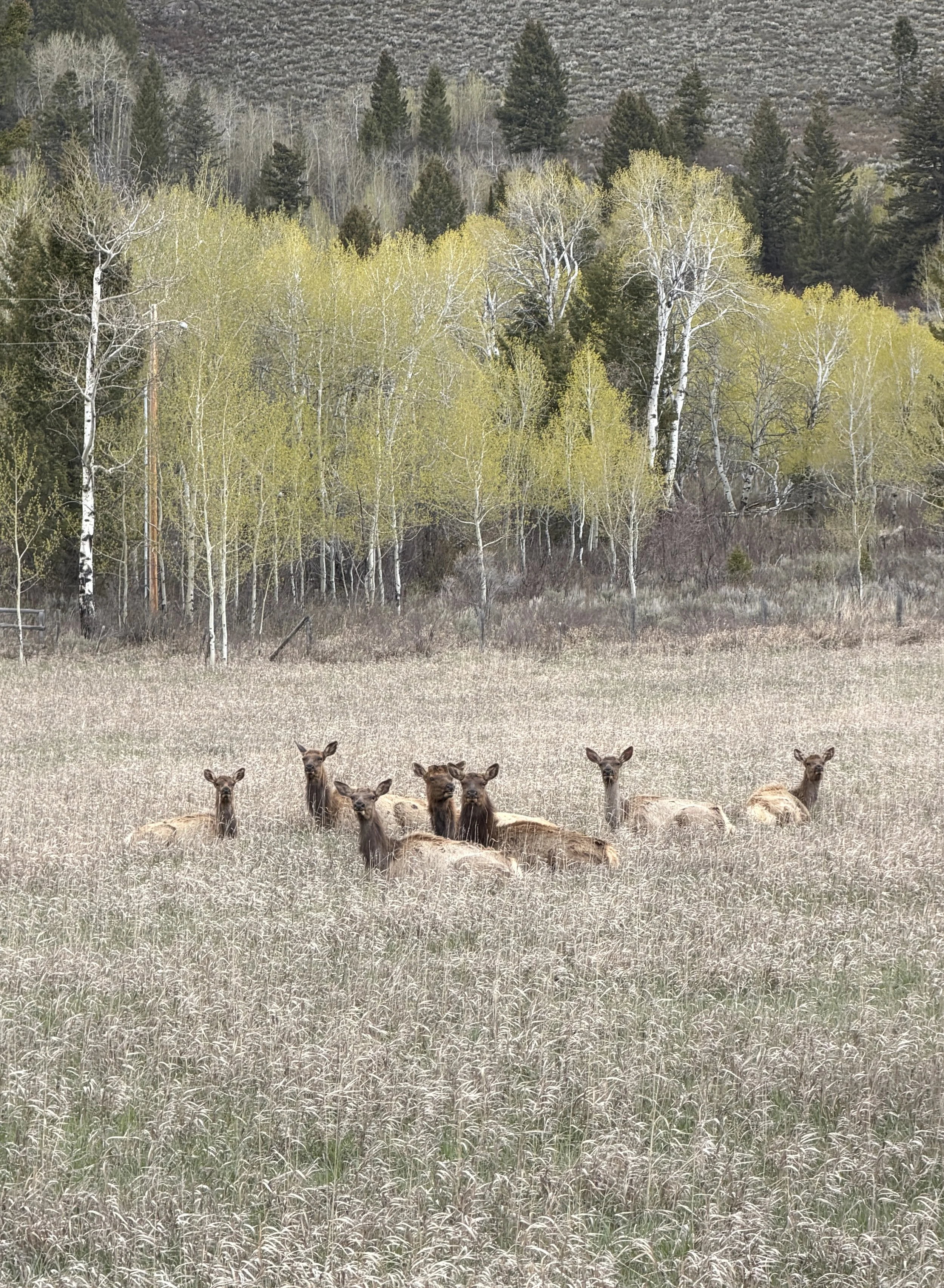 IMG_4587.jpg