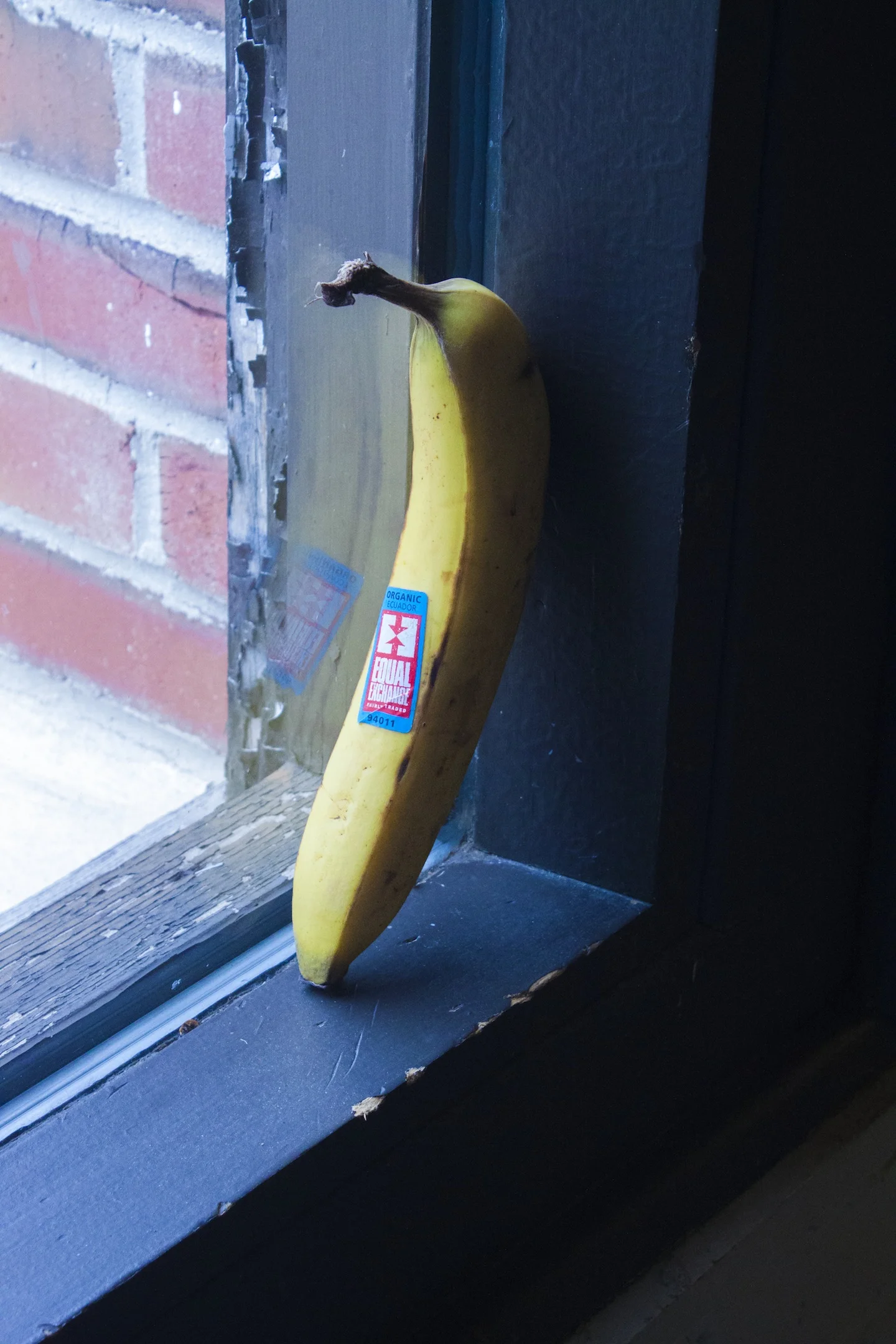 6gazing out window.jpeg