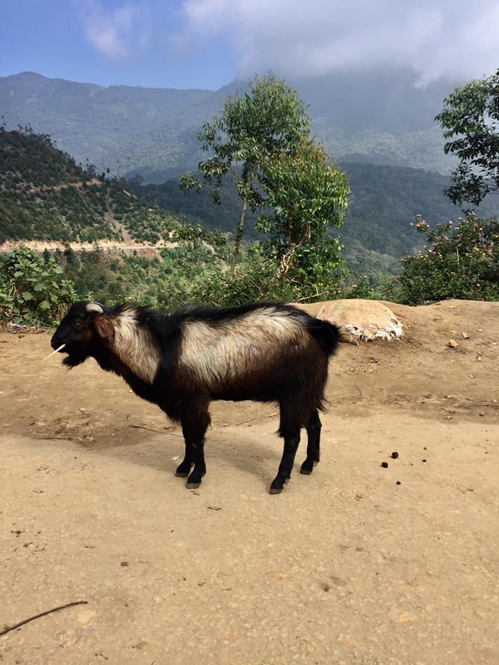 Unusual Friendships. Photo by Puja Panwar, M1.