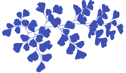 3218562-3f51b5.png