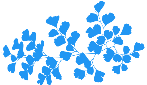 3218562-2196f3.png