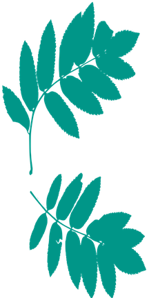1021412-009688.png