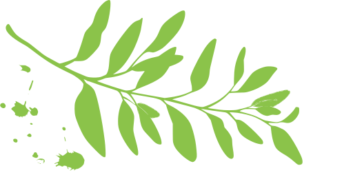 2688517-8bc34a.png
