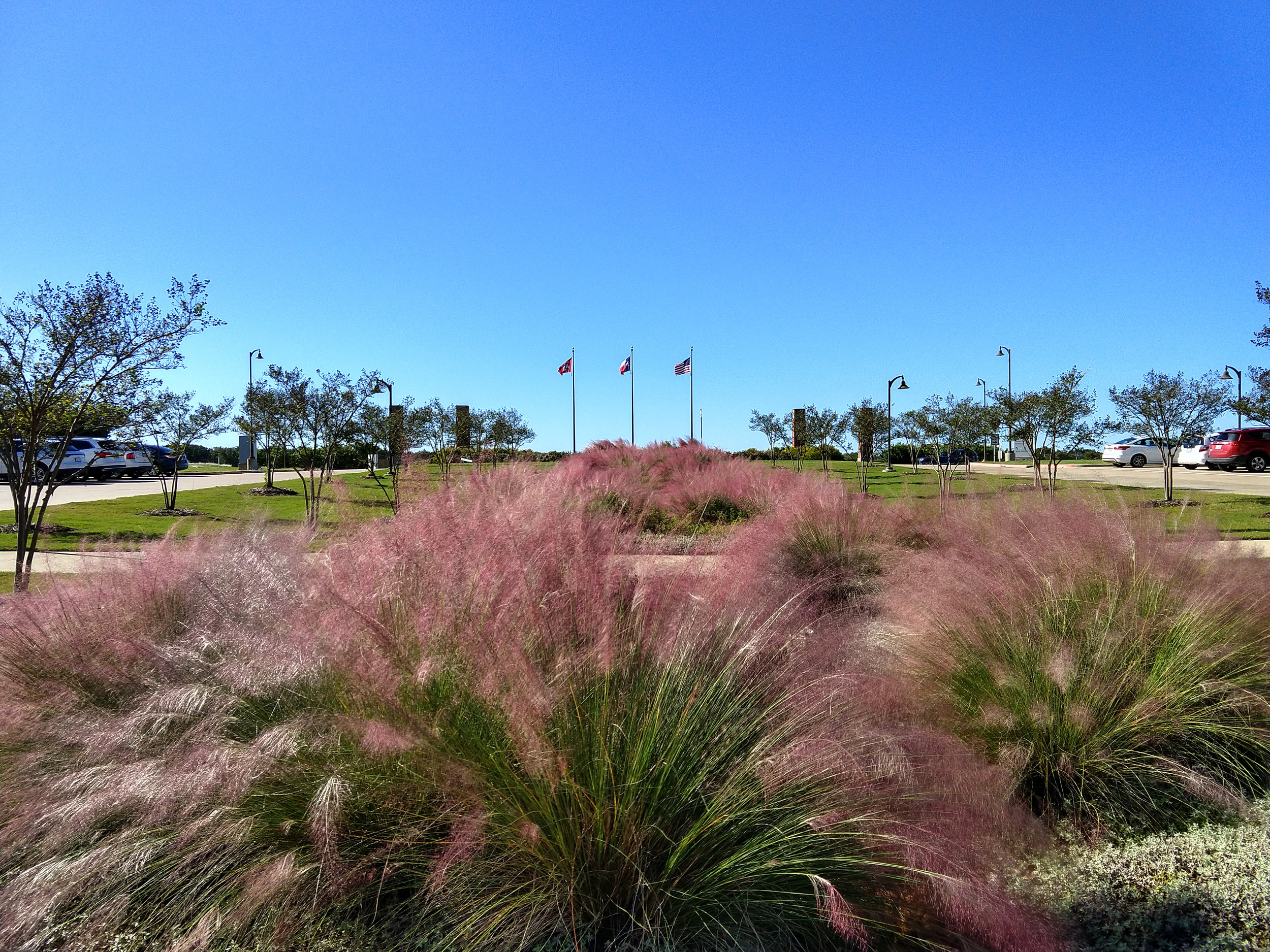 tamhsc-campus_20181101.jpg