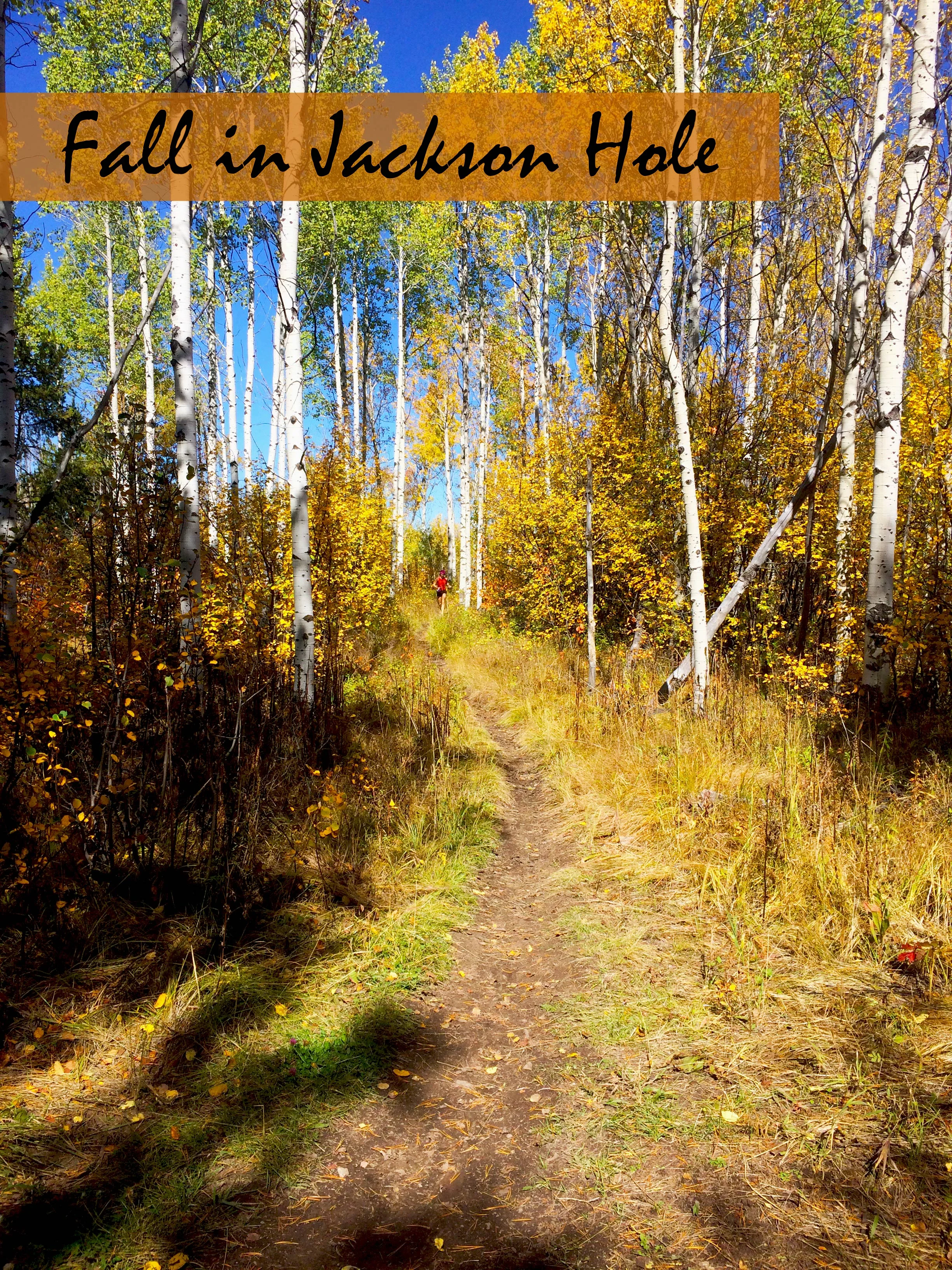 Fall in JH