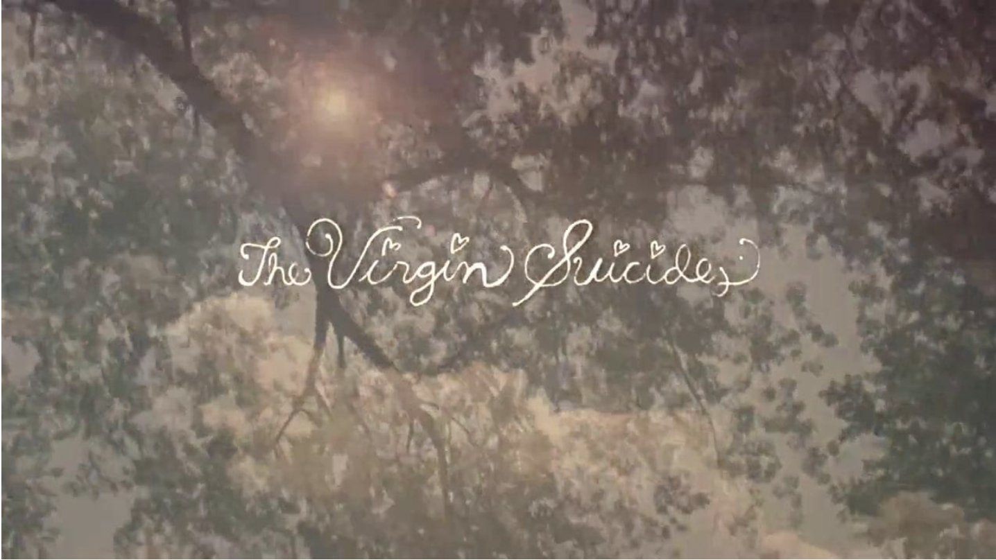 v1.png