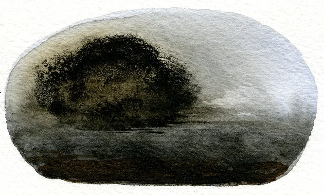 In the Land (XXVI)