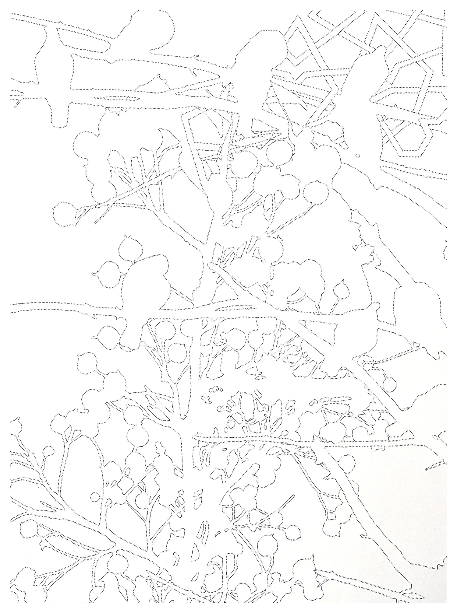 Thicket